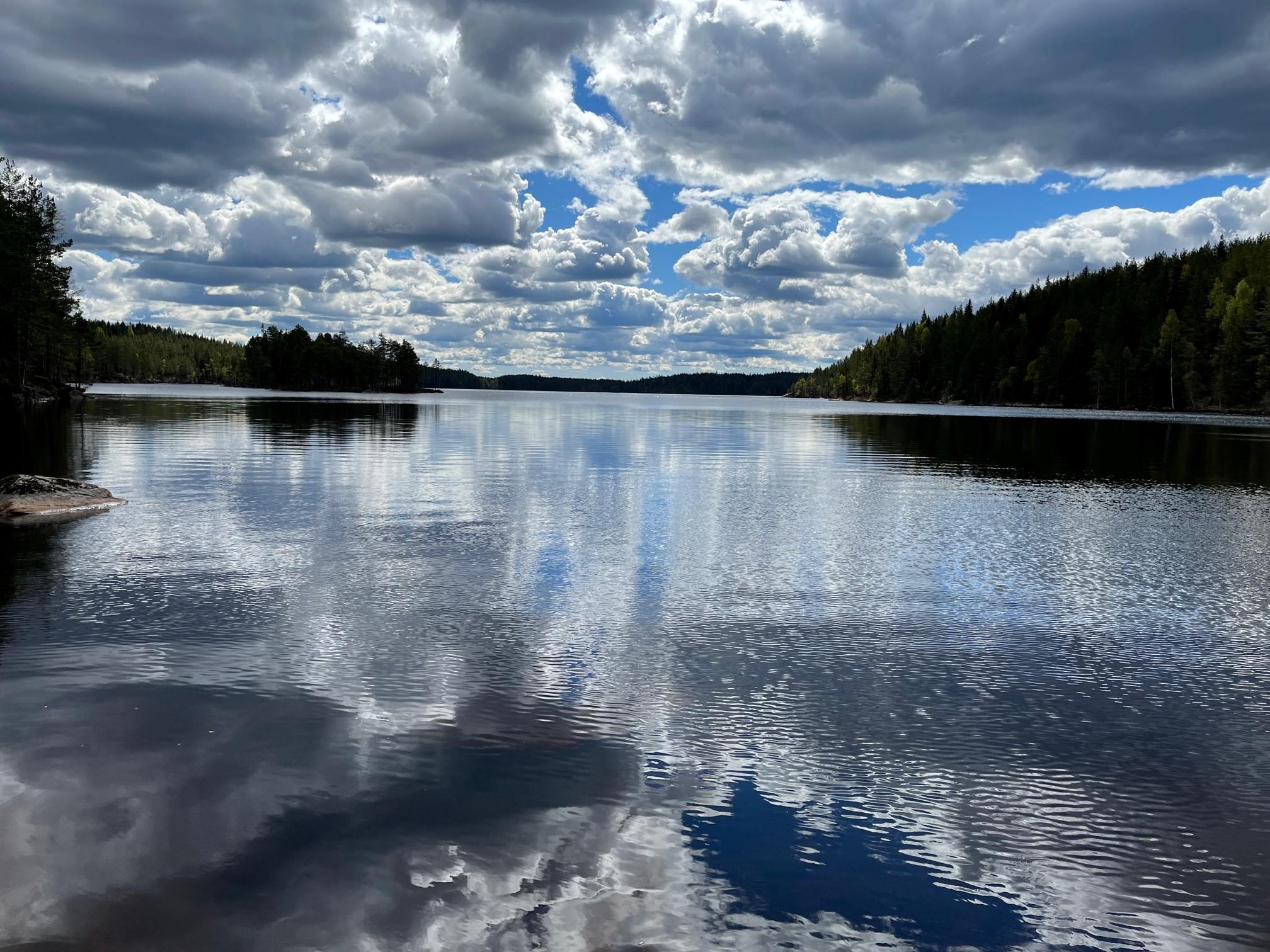utsikt over vannet