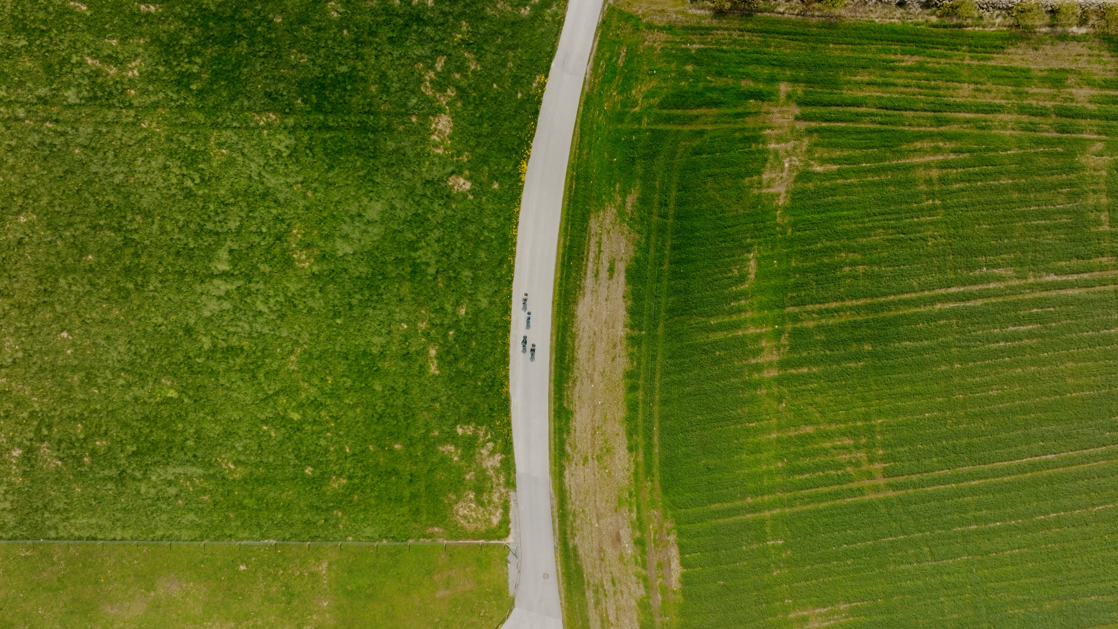 Inmitten der Agrarlandschaft