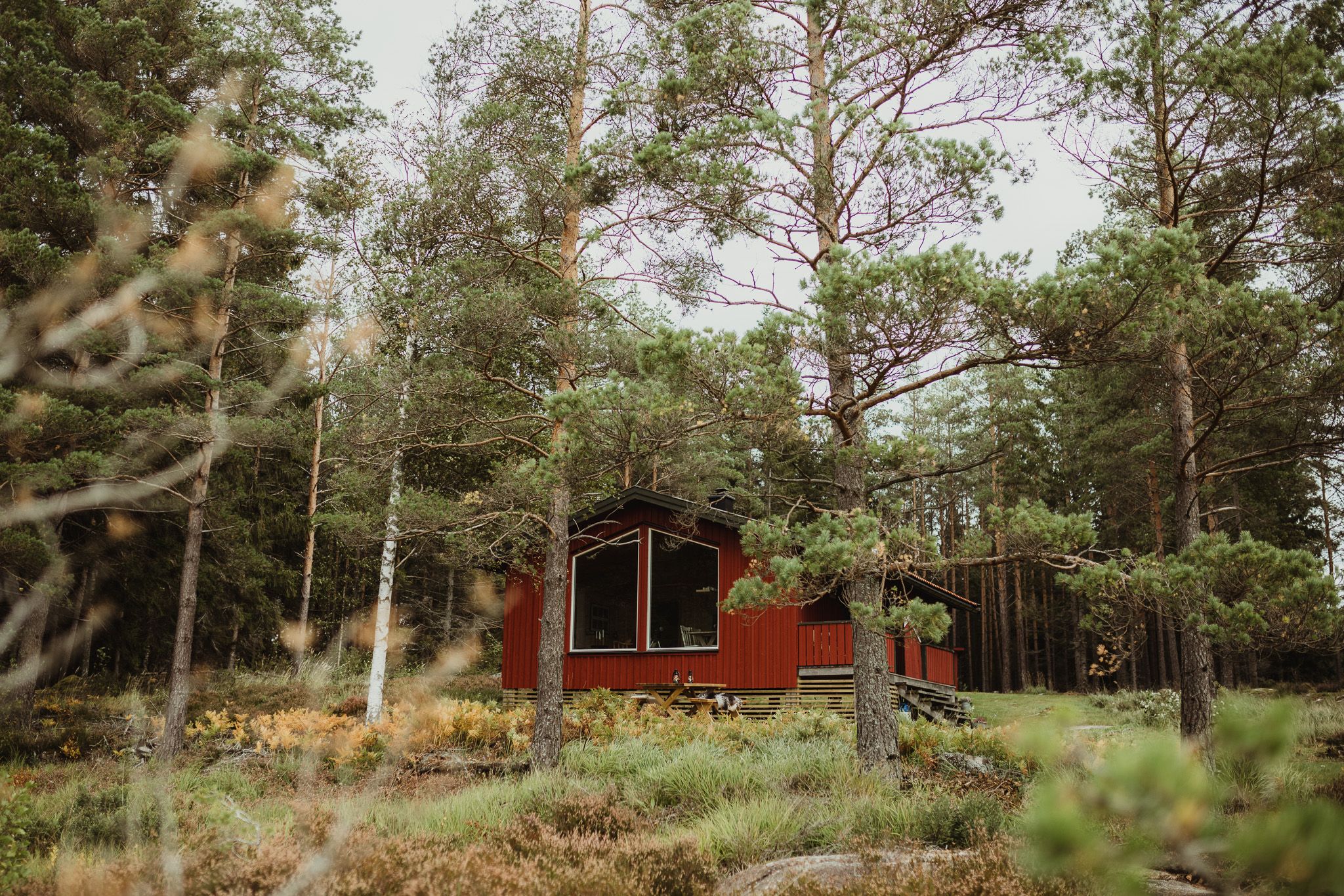 Rød hytte i skogen