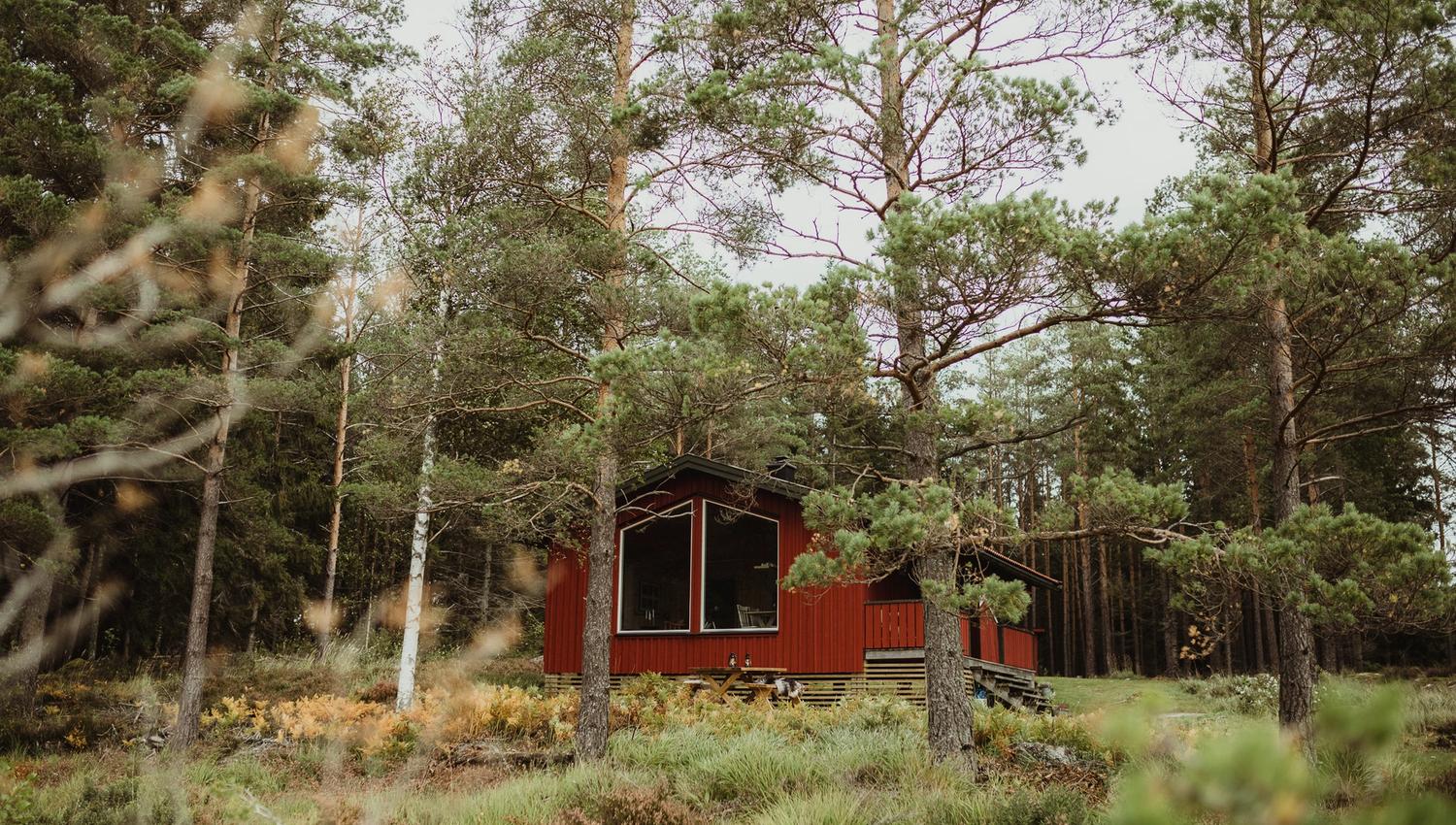 Rød hytte i skogen