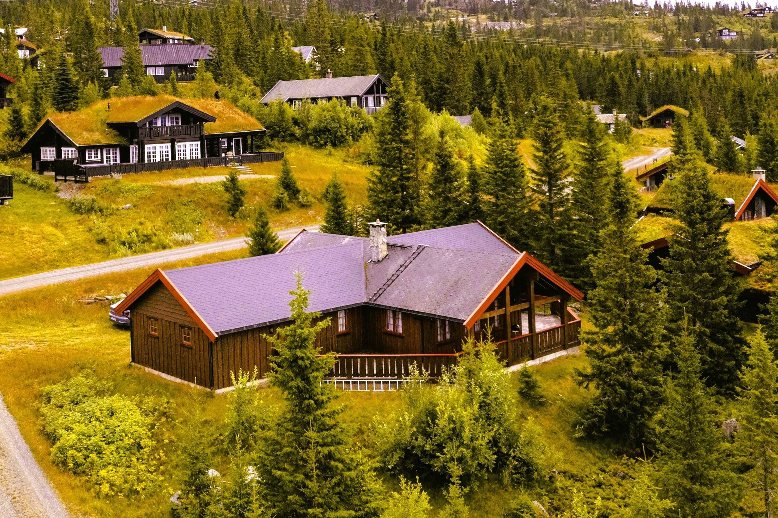 Flere trehytter i et grønt fjellandskap med granskog, gressbakker og en svingete grusvei i dagslys..