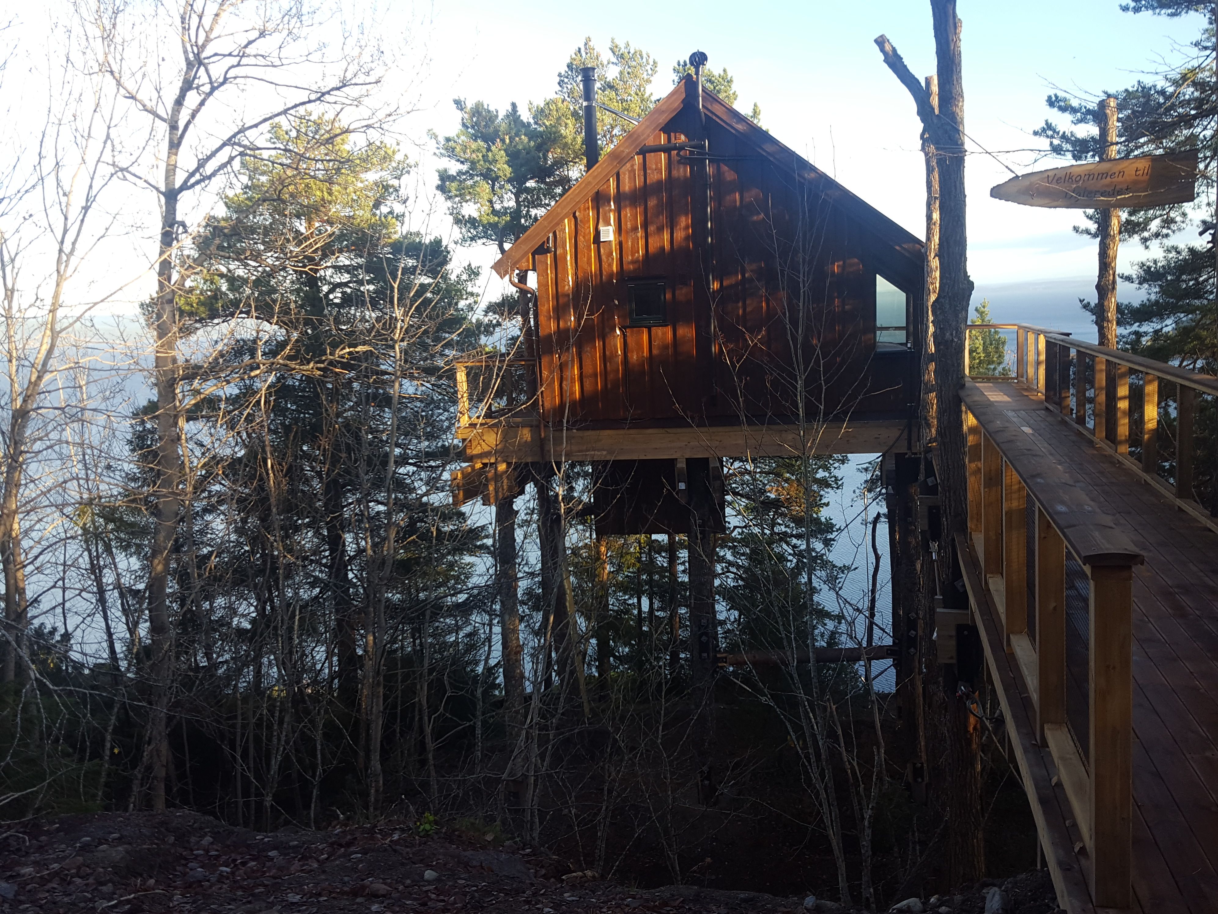 Treetop cabin