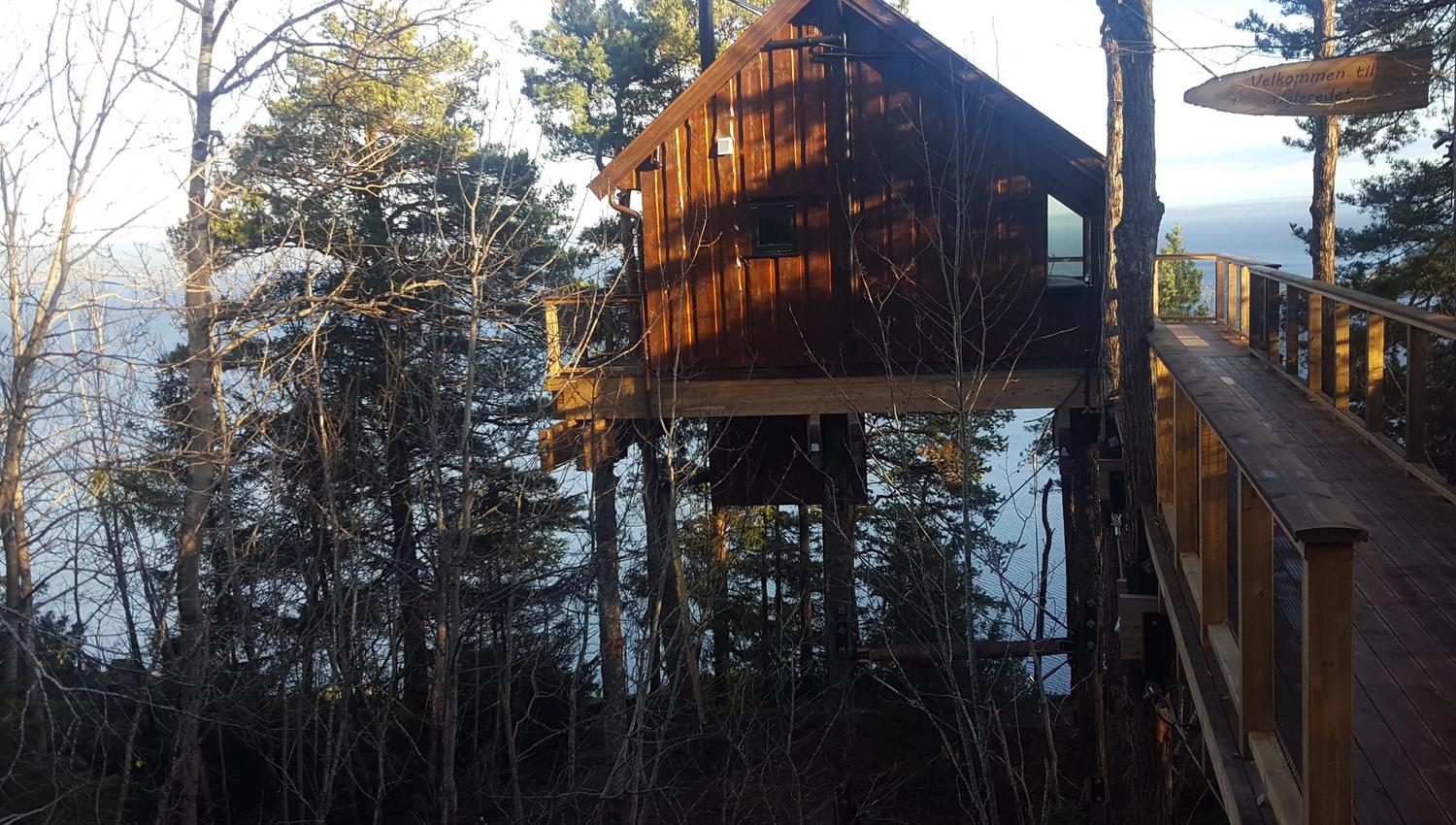Treetop cabin