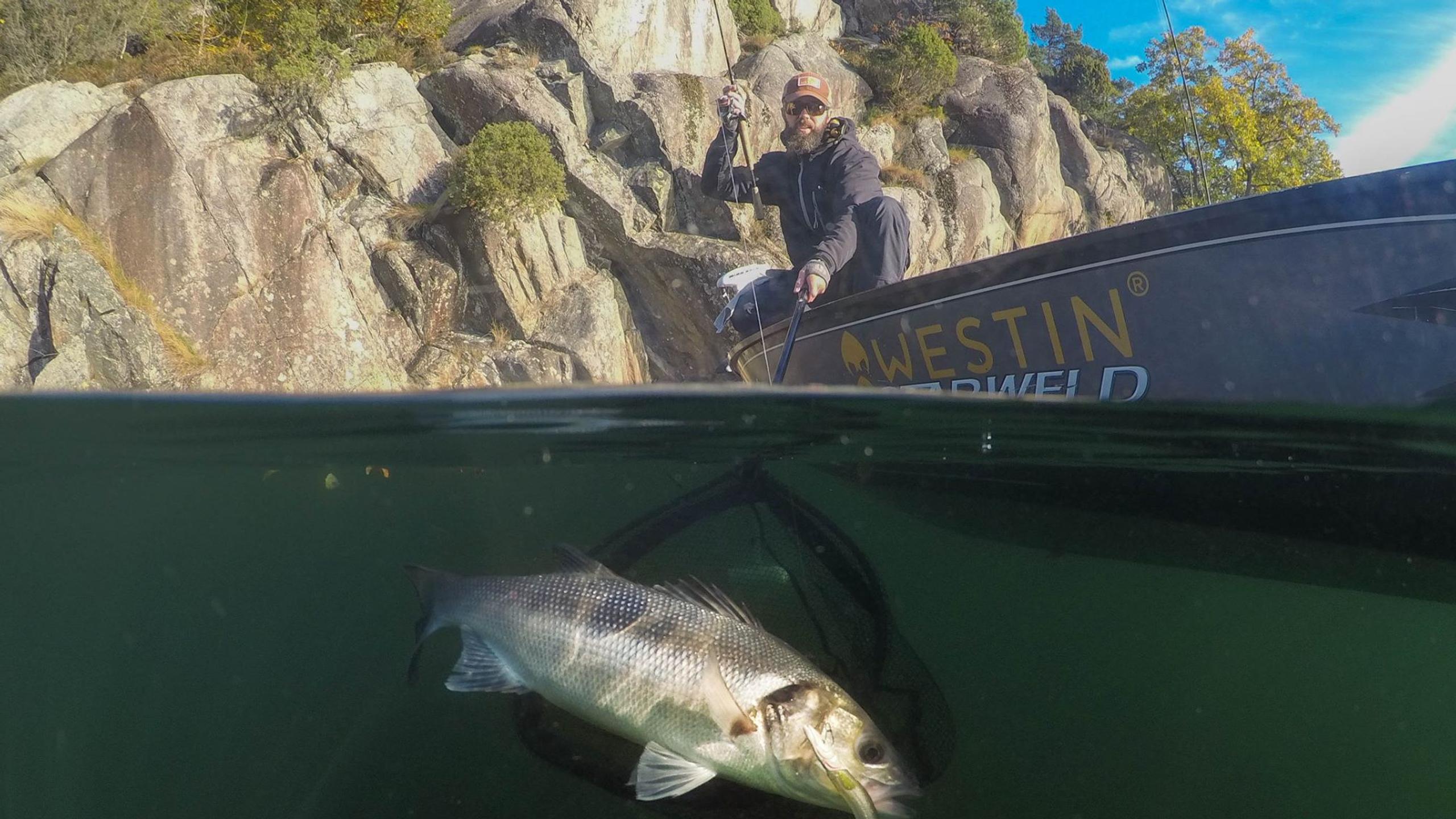AnglerPilot Guidet fisketur og opplæring på Sørlandet
