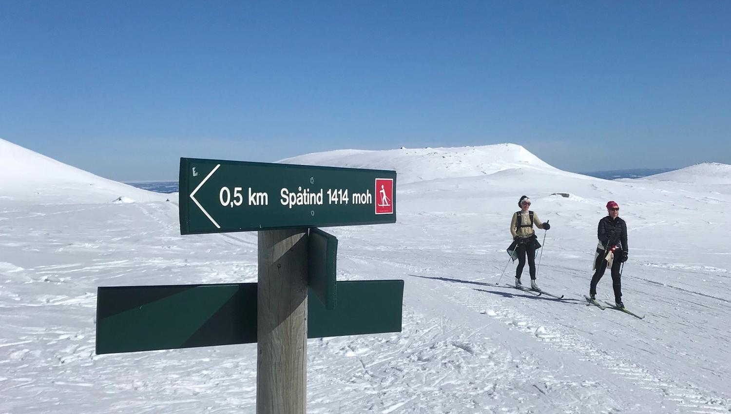 Skilt vinter