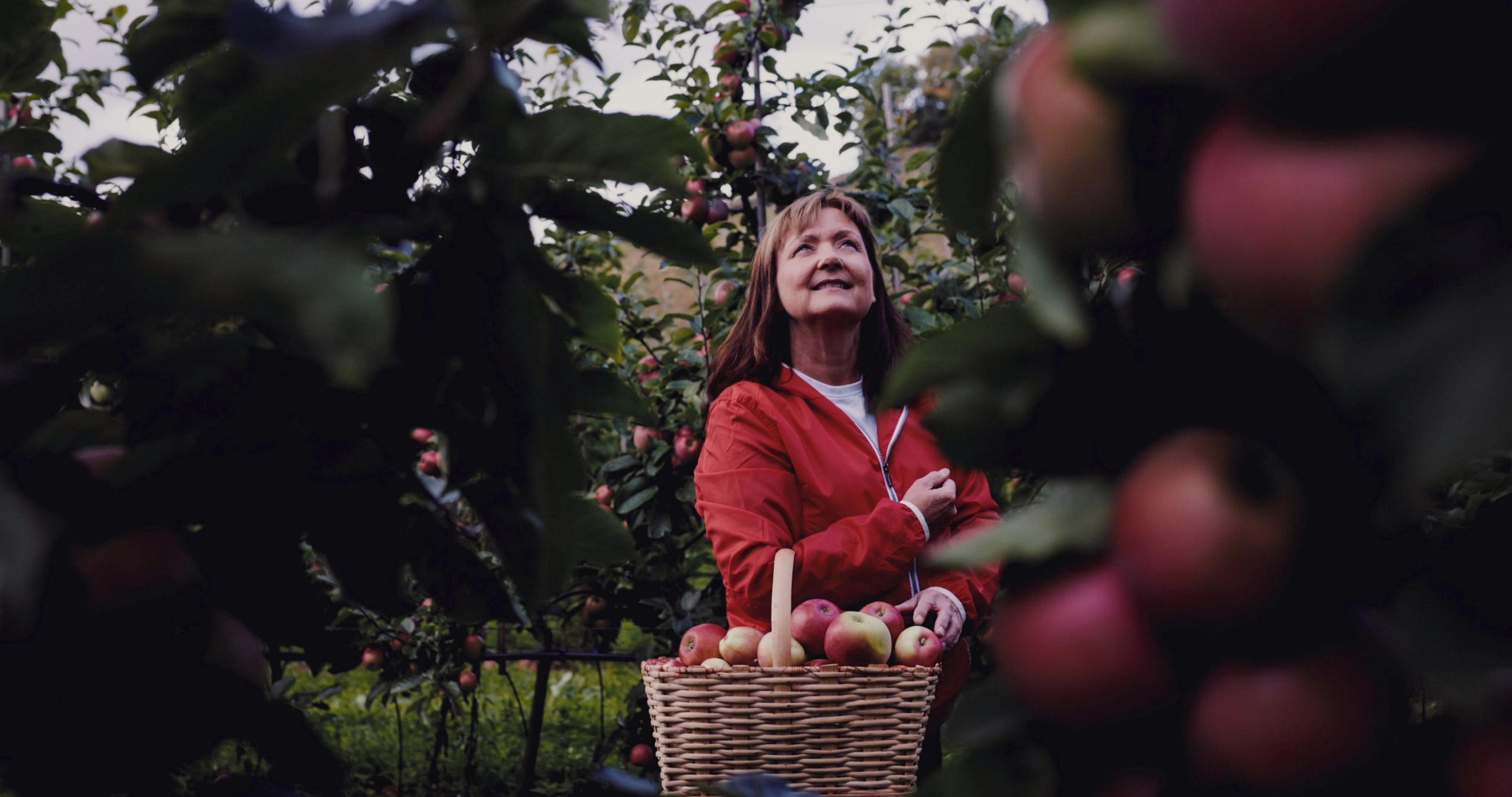 Gardsutsalg og sidersmaking hos OmCider på Hjelmeland
