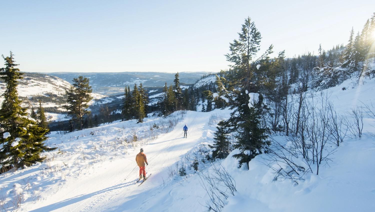 Skogsløypa