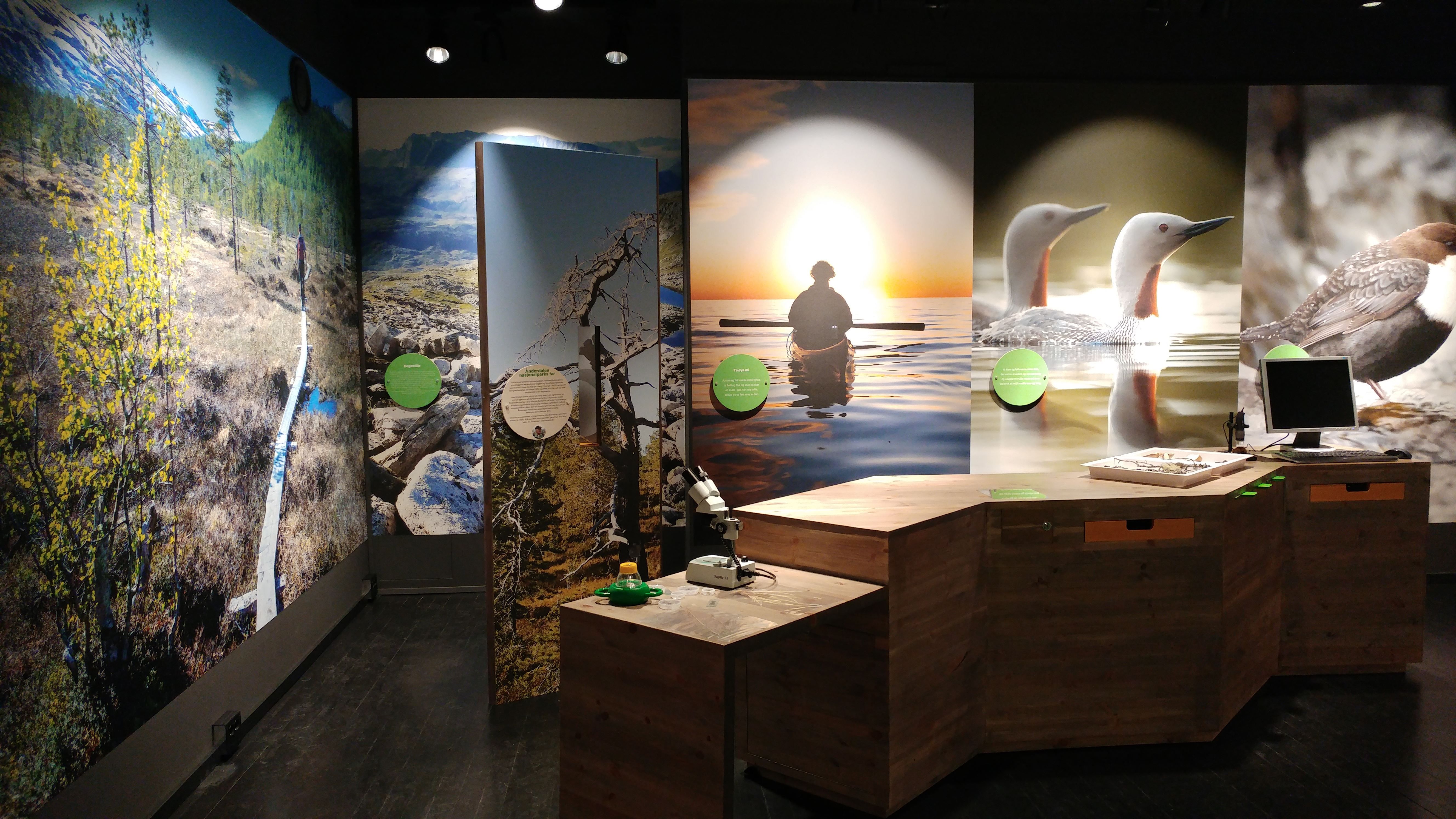 inside the museum, with various nature pictures 