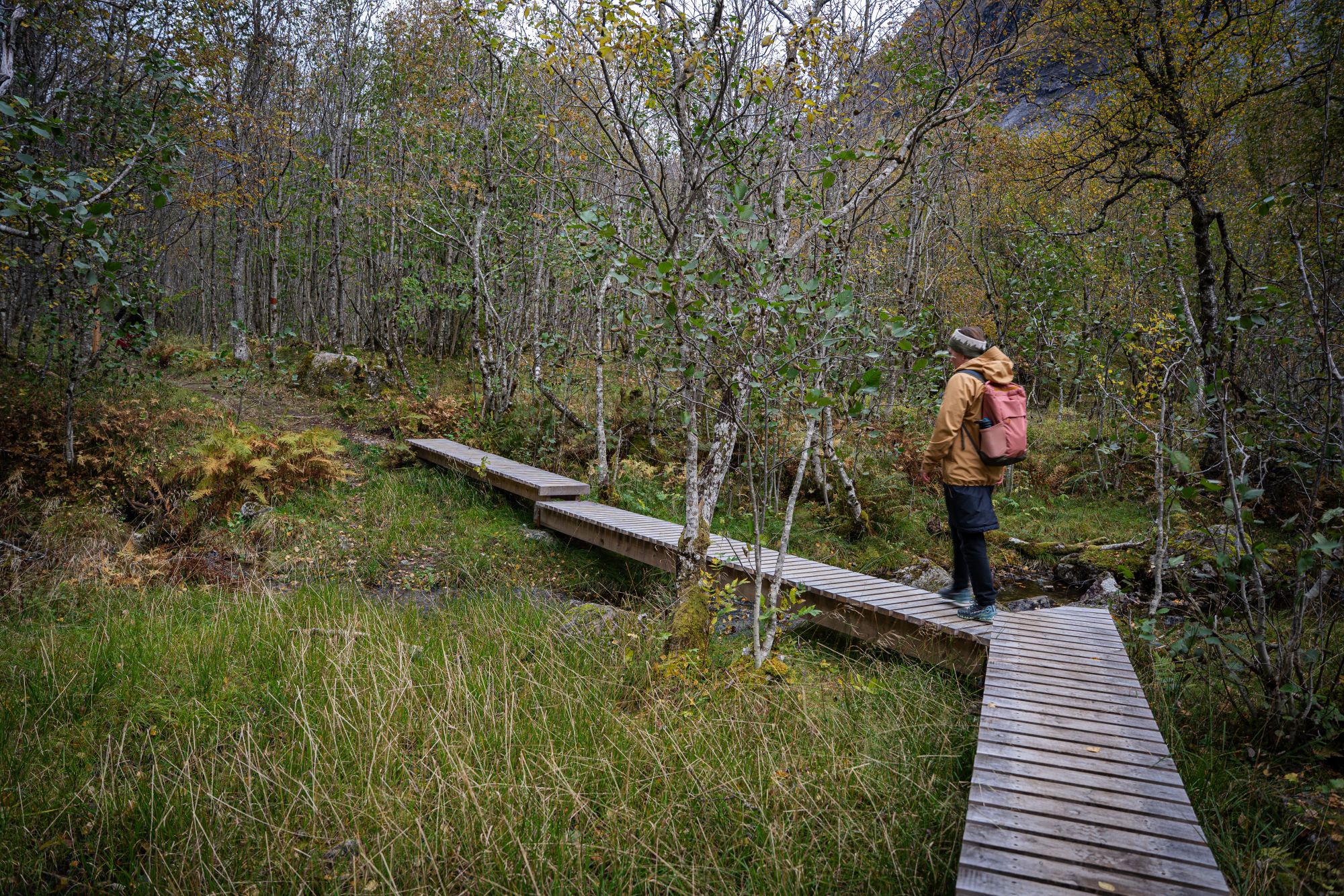 The boardwalks guide you safely across the wet sections.