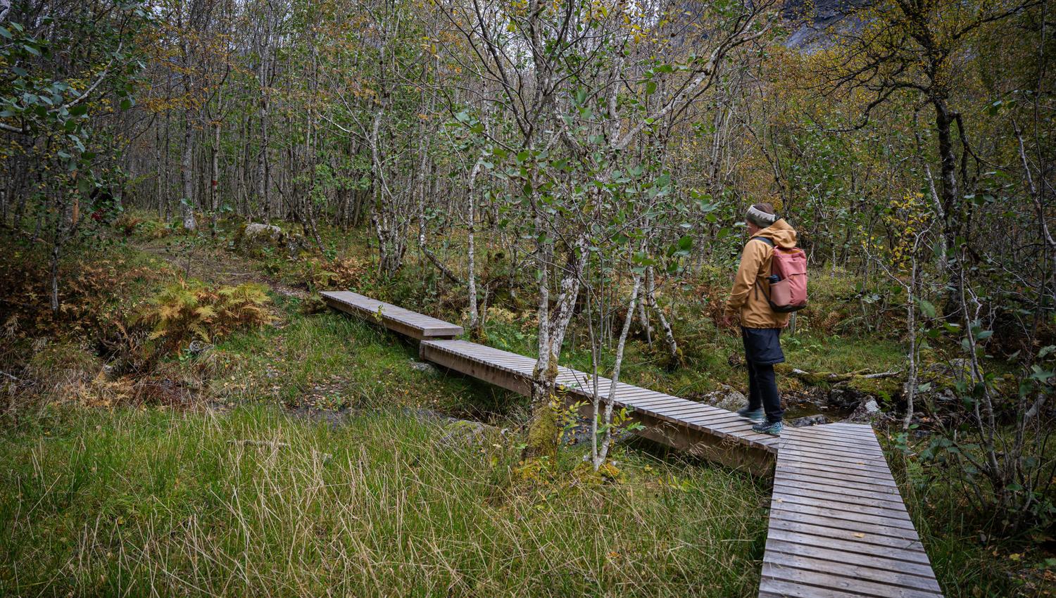 The boardwalks guide you safely across the wet sections.