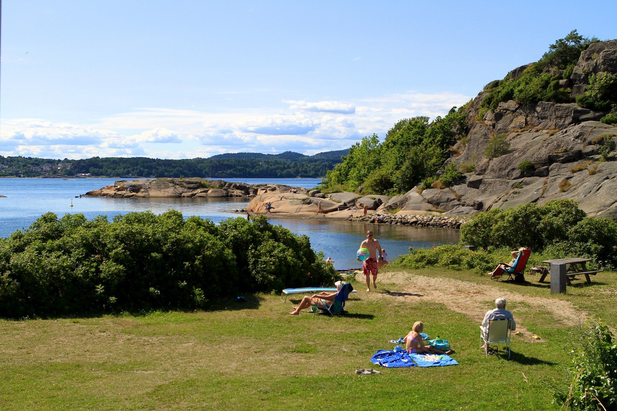 Gresslette ved havet