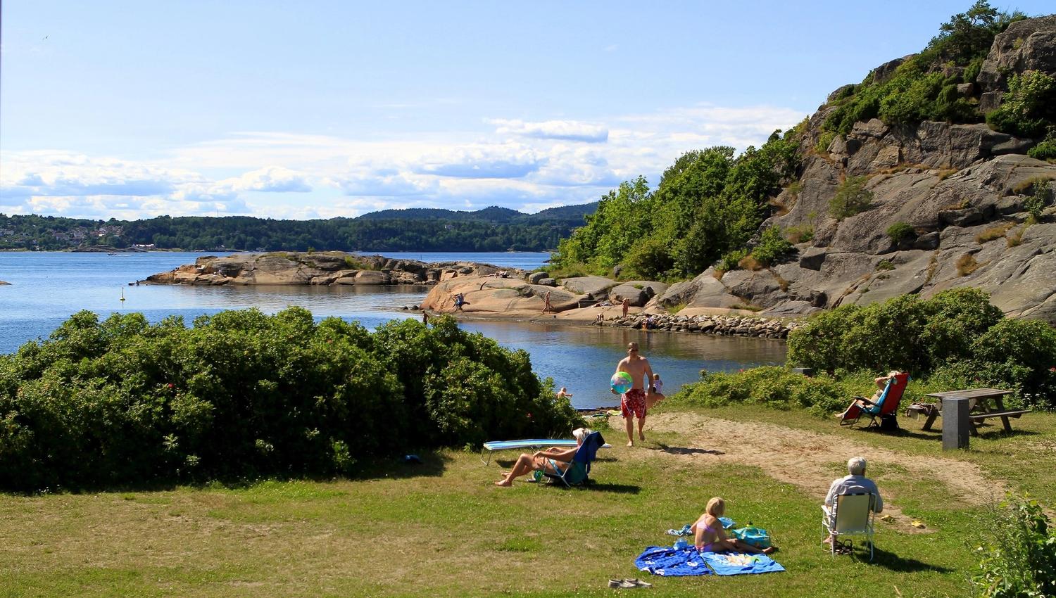 Gresslette ved havet