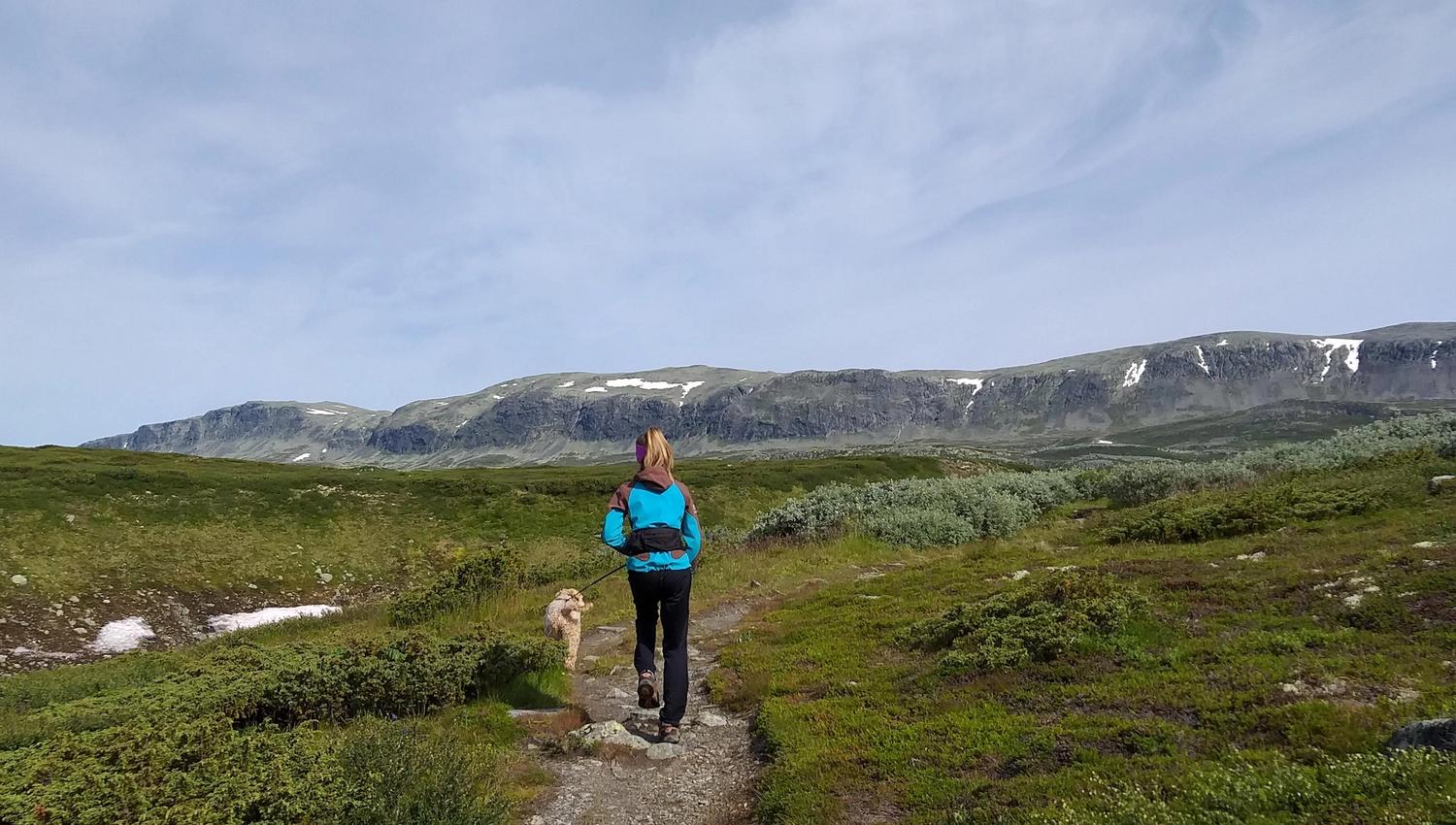 På tur til Mørehovda
