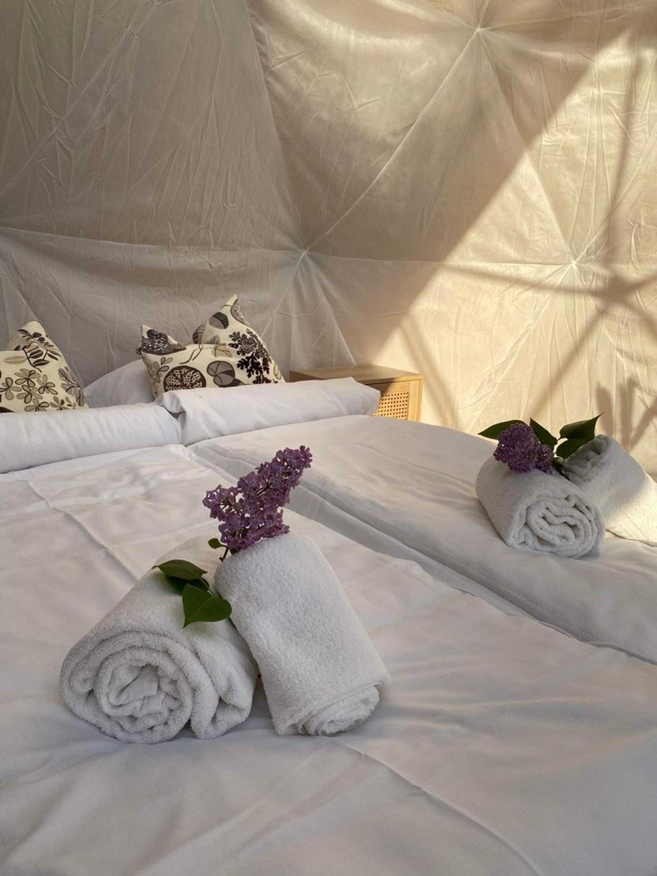 Reidd dobbeltseng i telt med kvite dynar, rulla handkle og syrinblomar, og varmt sollys på veggen på Vollsnes Glamping Dome i Oppstryn..