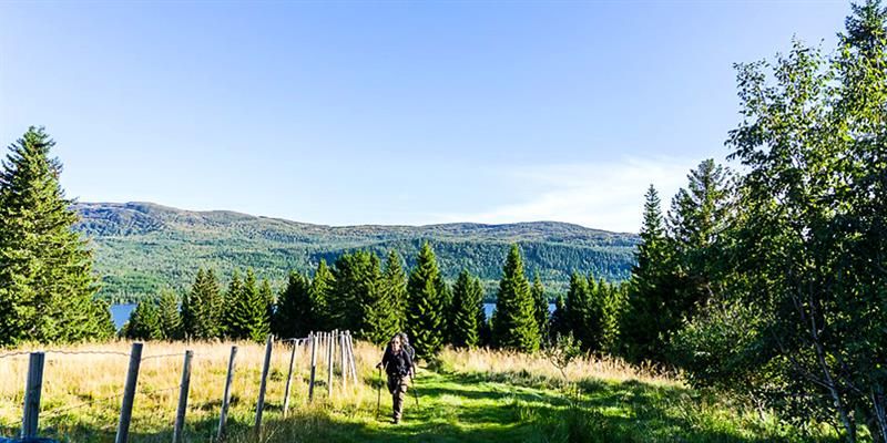 Vandring dagstur fra Troset til Munkeby i Levanger