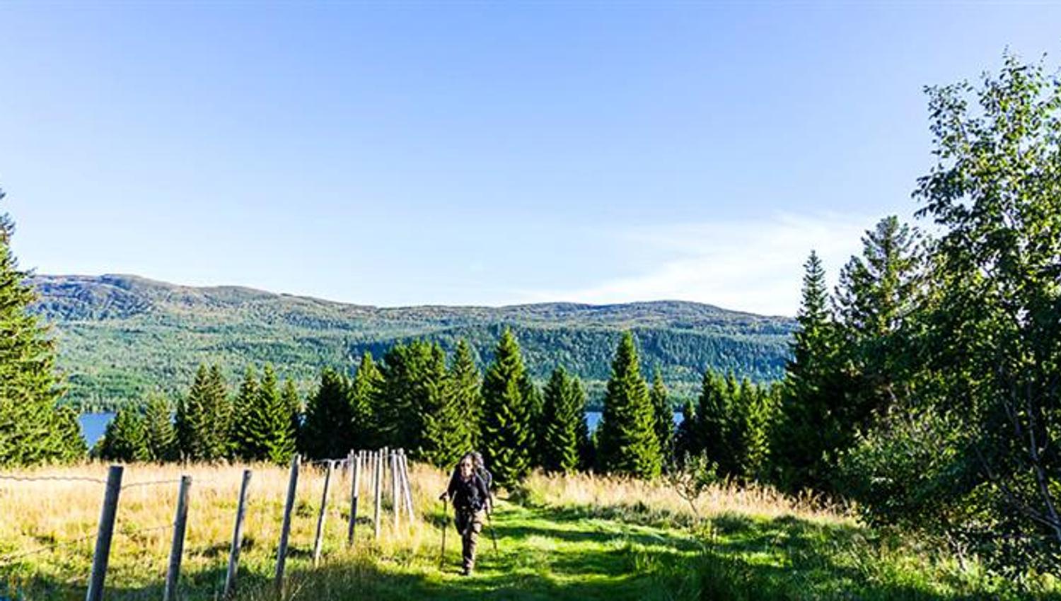 Vandring dagstur fra Troset til Munkeby i Levanger