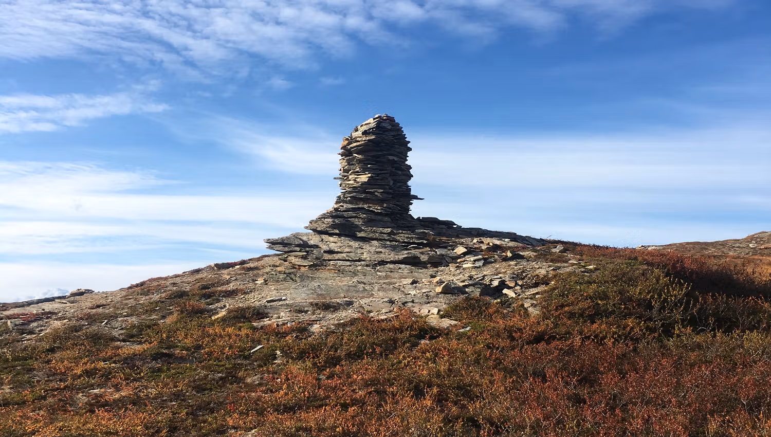 Stone cairn on the Hardangervidda plateau surrounded by alpine vegetation.