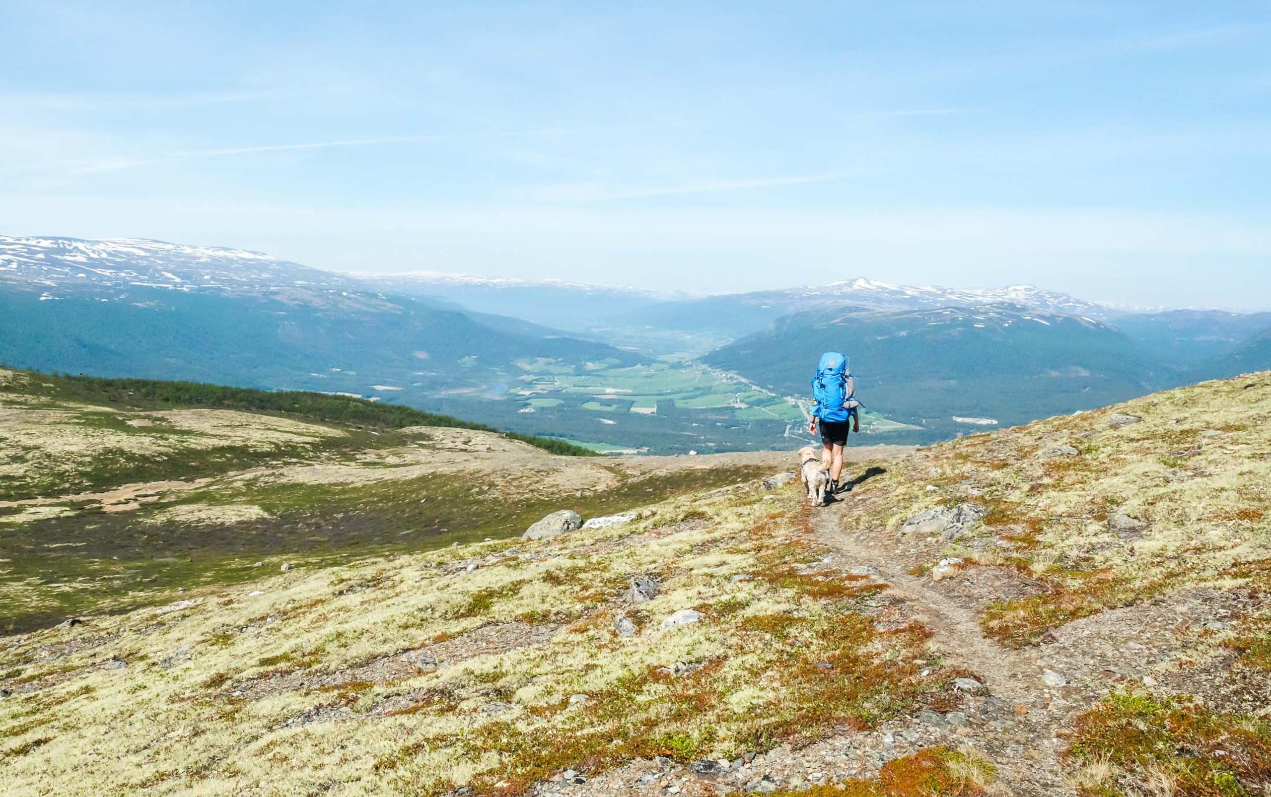 Dovre National Park