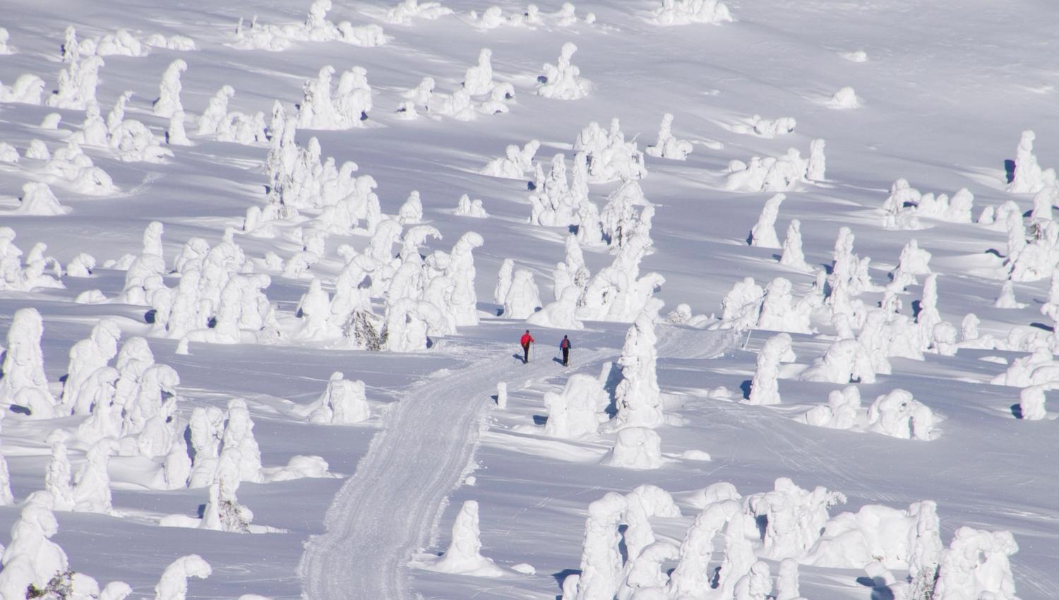 Sjusjøen