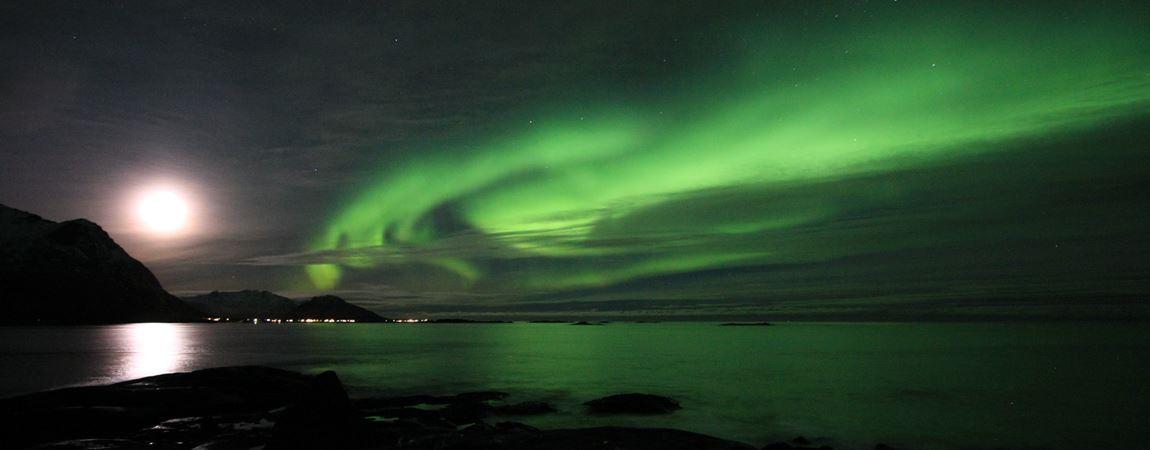 Northern Lights tour 4 hours - Lofoten Aktiv