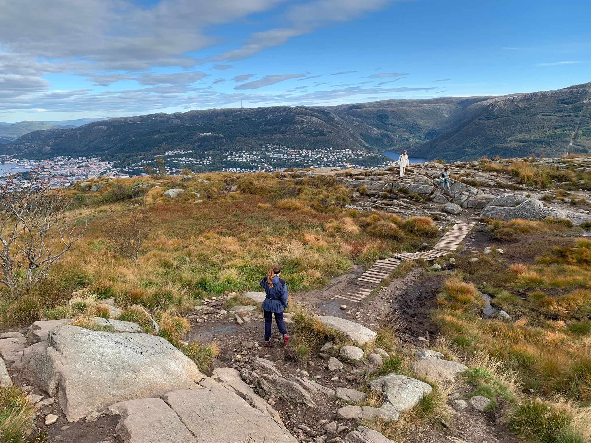 Varied terrain towards the top