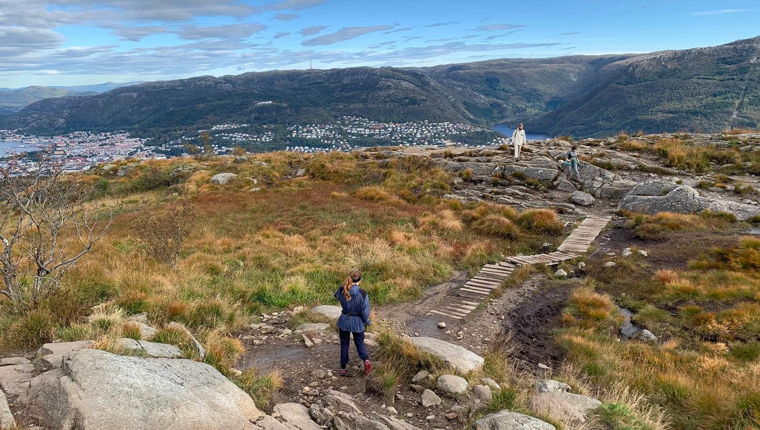 Varied terrain towards the top