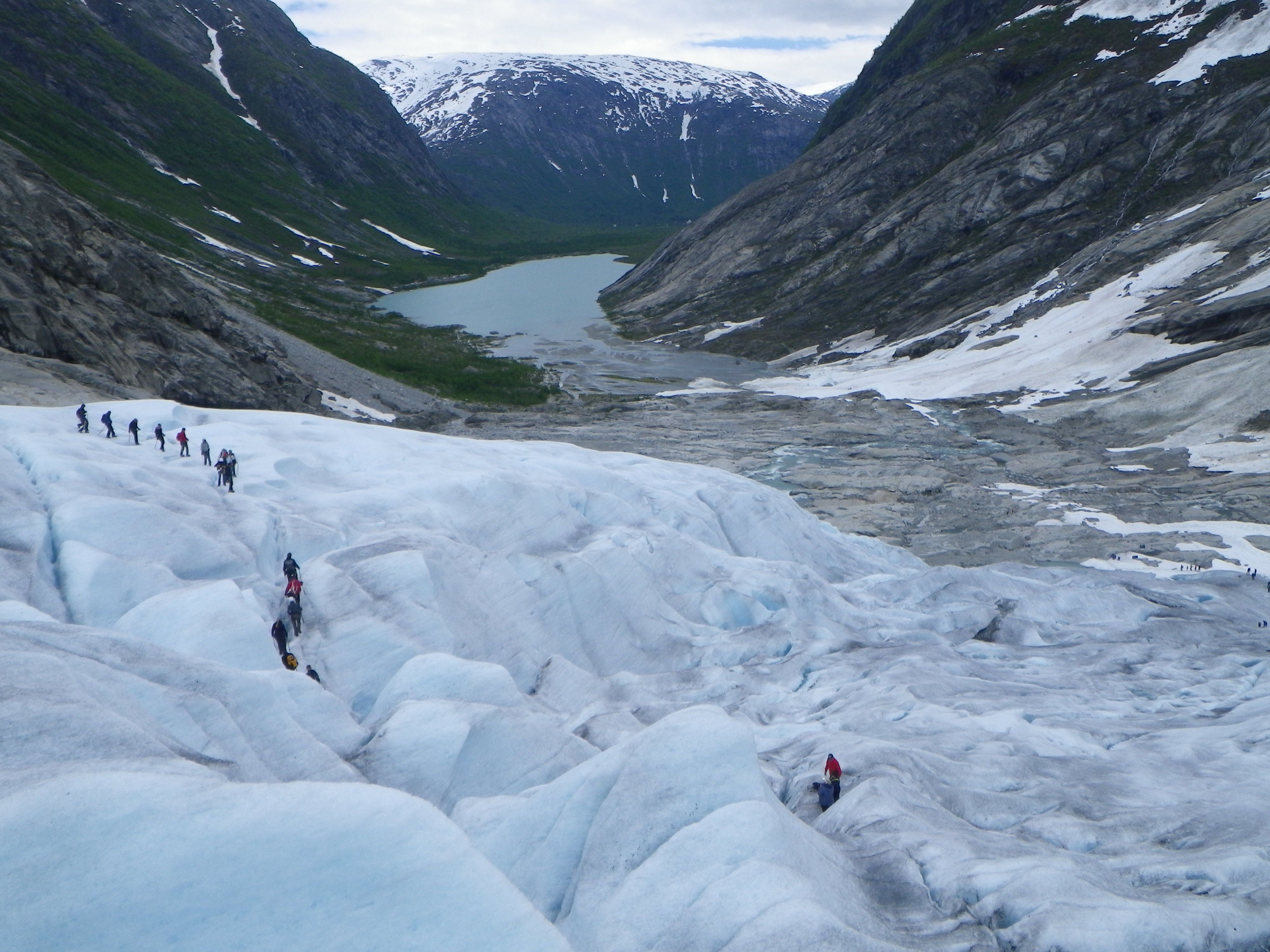 Nigards - IceTroll