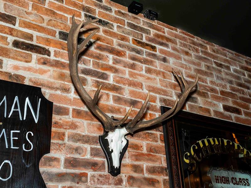 Detail of deer horns hanging on a wall