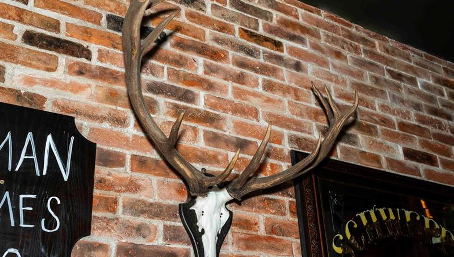 Detail of deer horns hanging on a wall