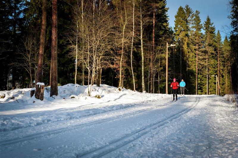 På skitur i marka
