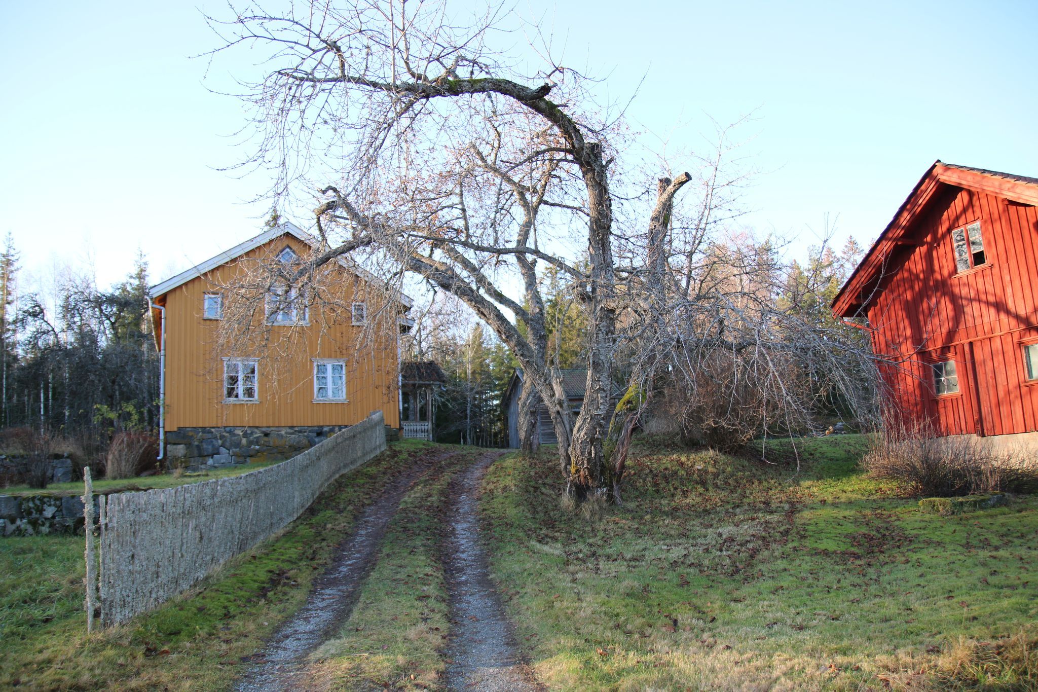 Hylliåsen, gård
