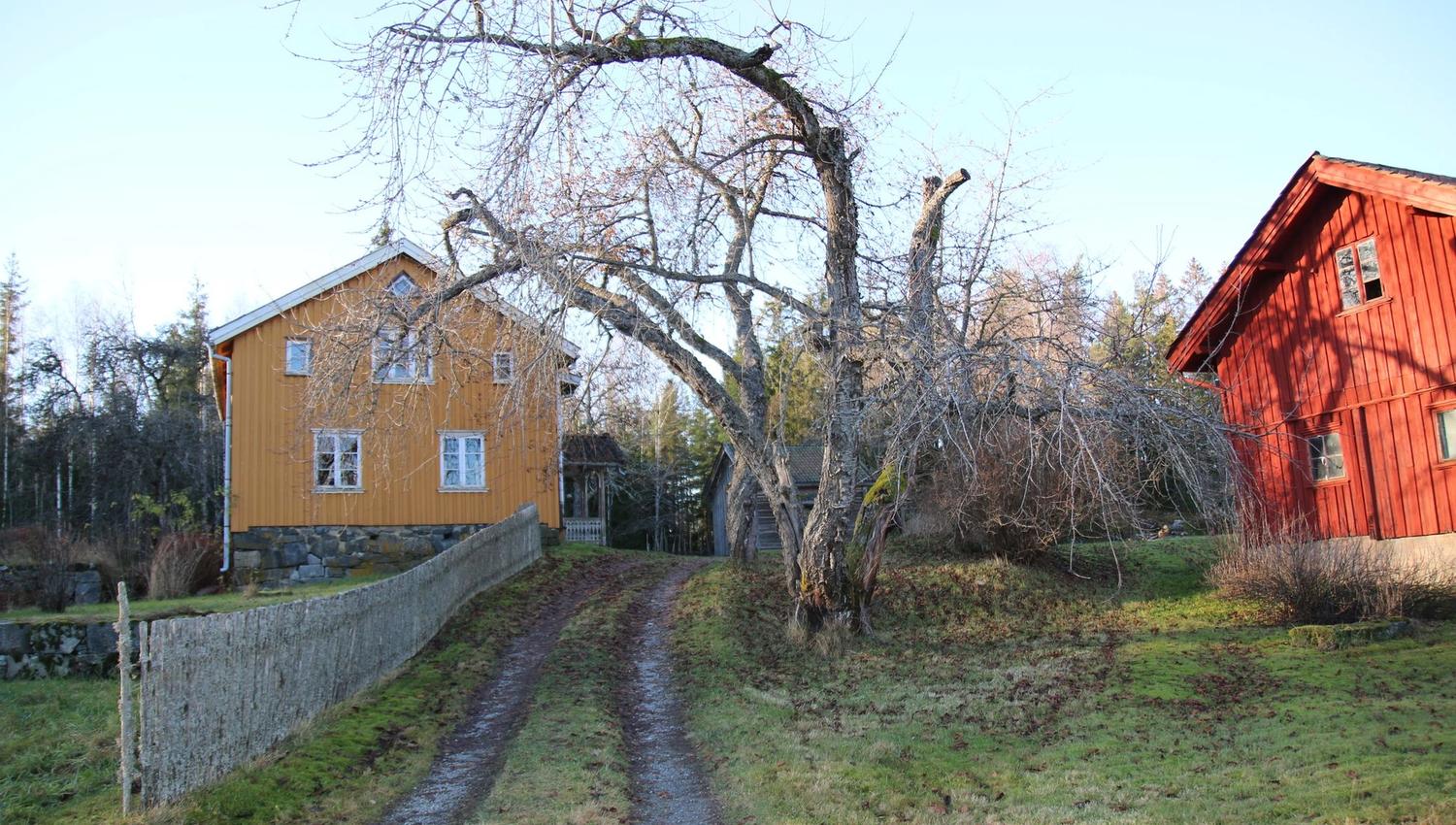 Hylliåsen, gård