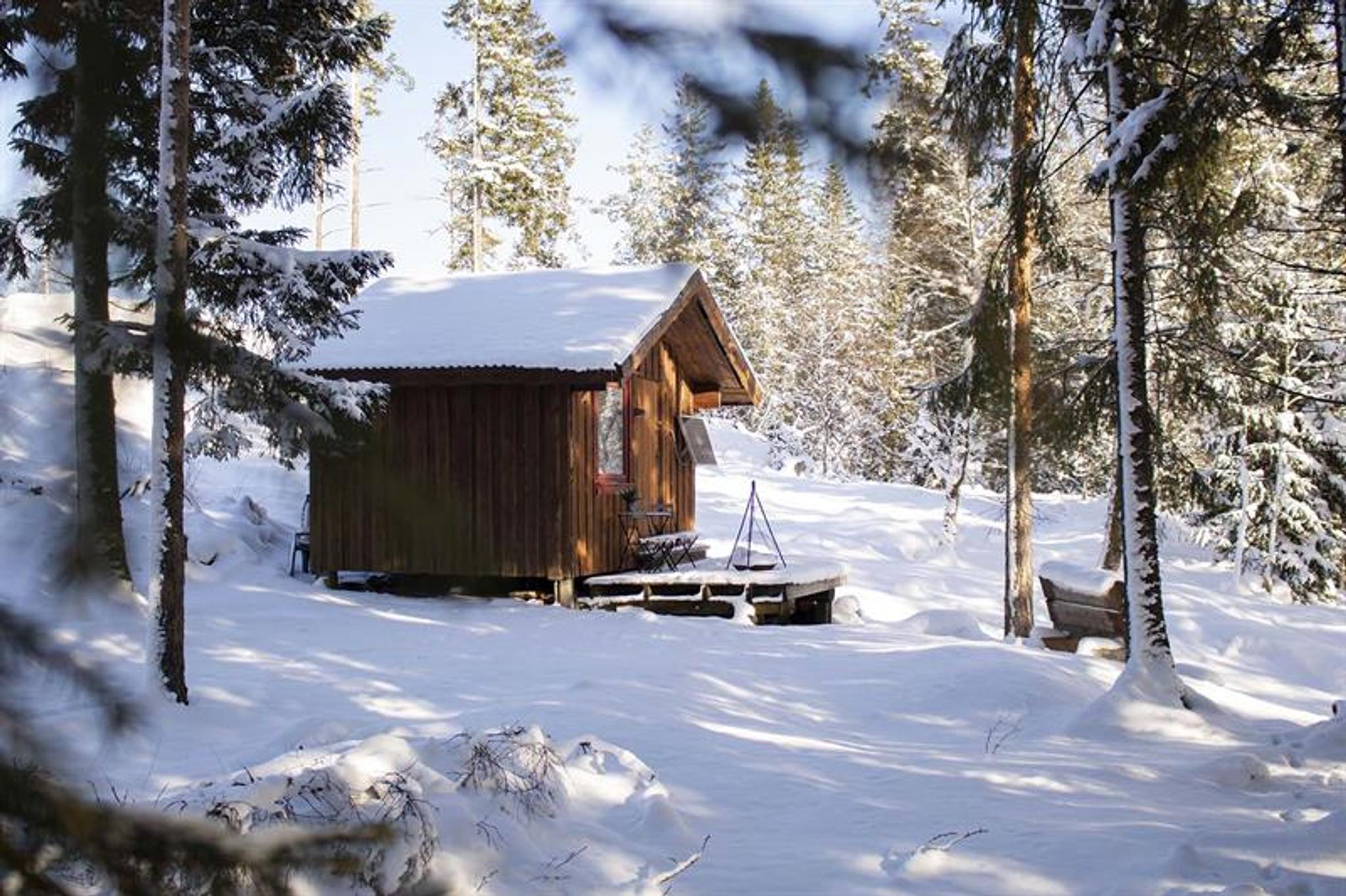 Charming cabin in the woods at Hammer Farm