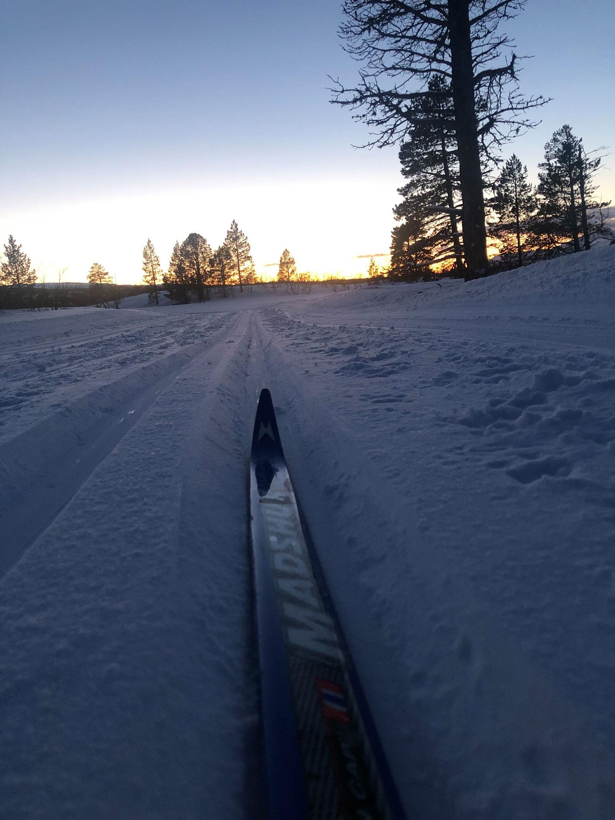Herjangsfjellet Cross-country ski trail