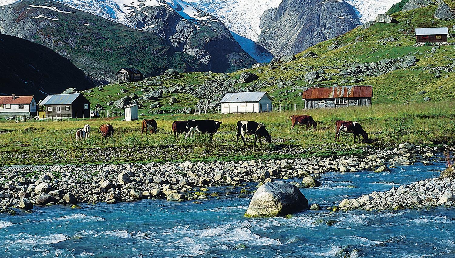 Austerdalsbreen Glacier Veitastrond