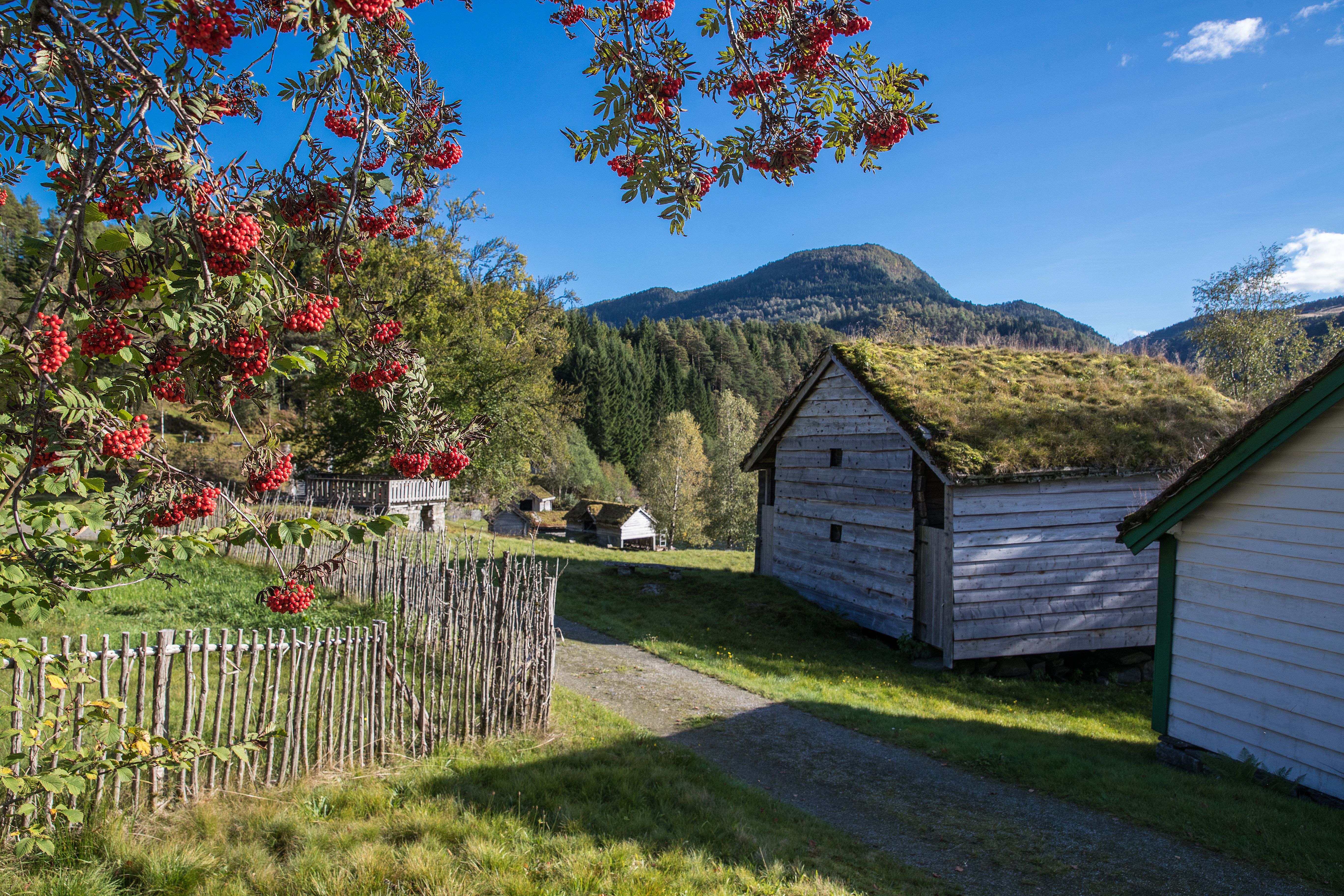 Enjoy the beautiful surroundings at Sunnfjord Museum