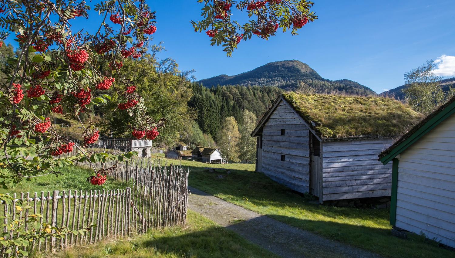Enjoy the beautiful surroundings at Sunnfjord Museum