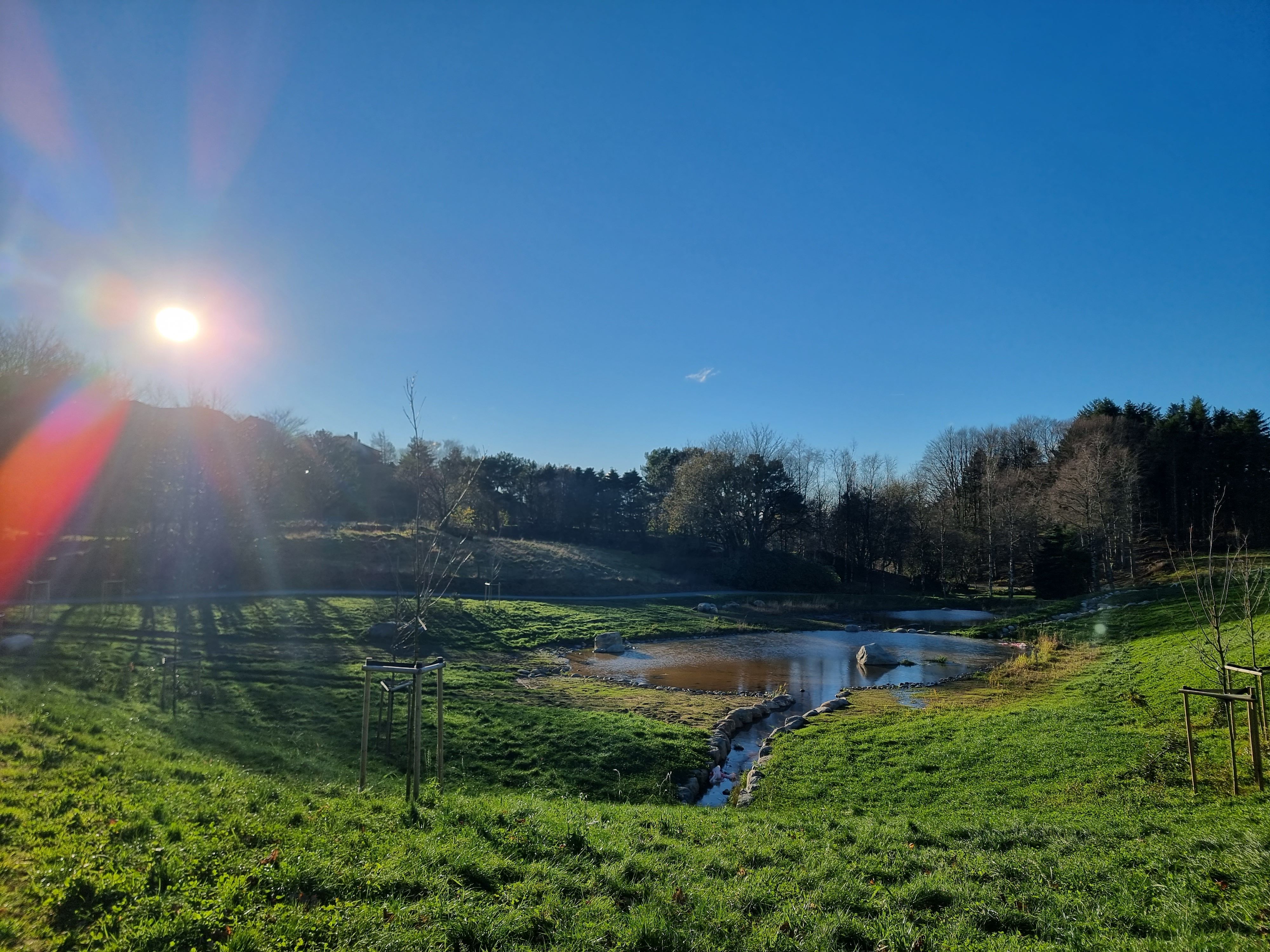 Varied landscape