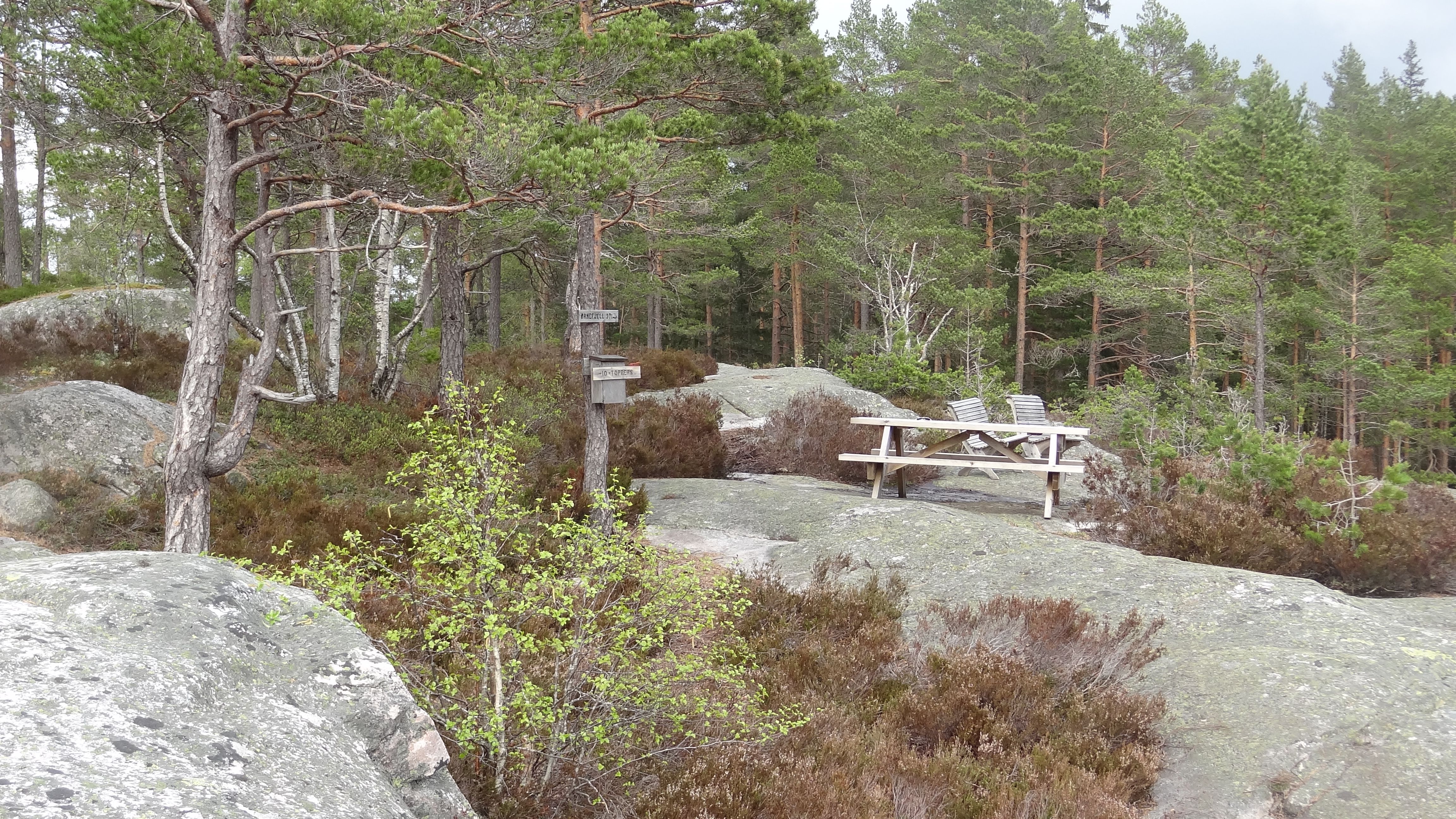 Ørnefjell