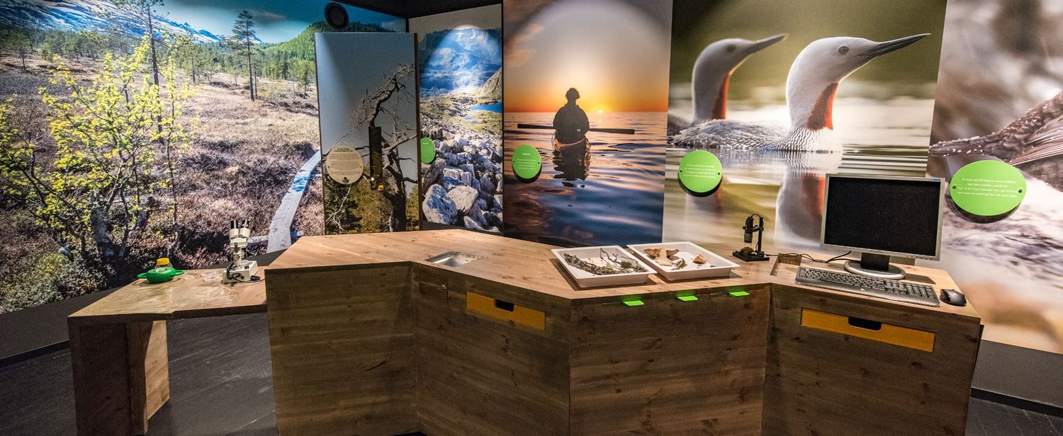 Inside the Sámi museum with pictures covering the walls.