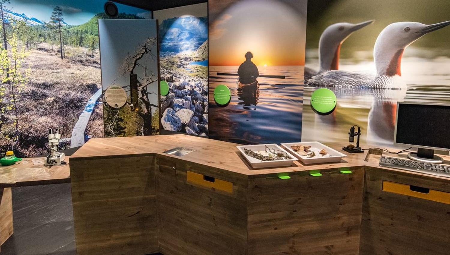 Inside the Sámi museum with pictures covering the walls.