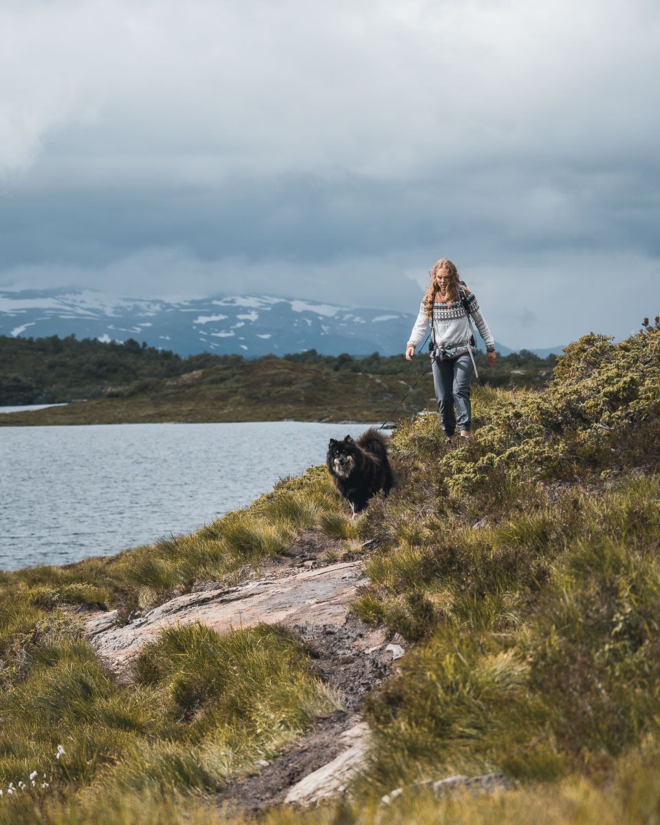 Woman and dog hiking in the mountains at Krokavatnet in Hardanger.