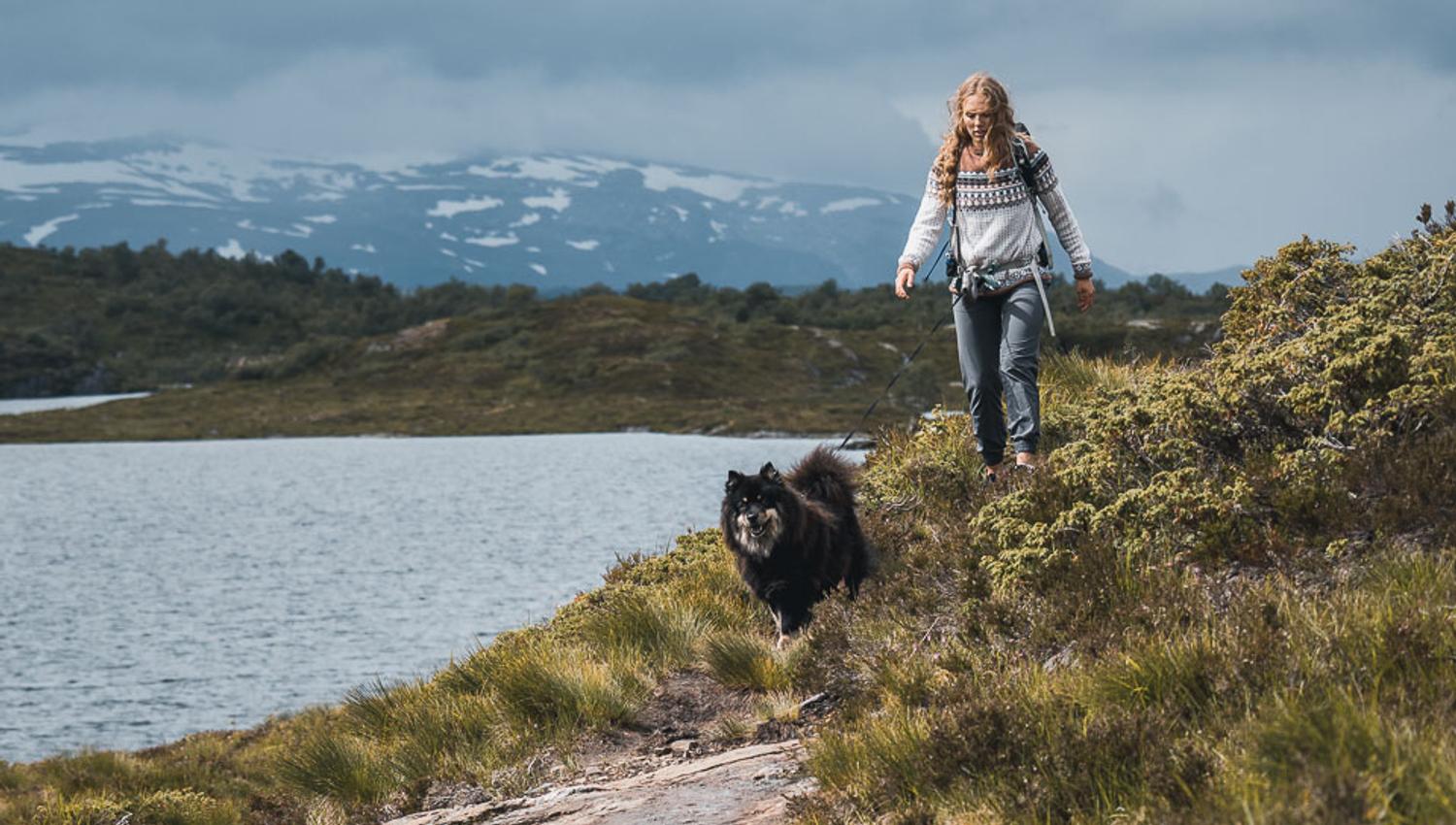 Woman and dog hiking in the mountains at Krokavatnet in Hardanger.