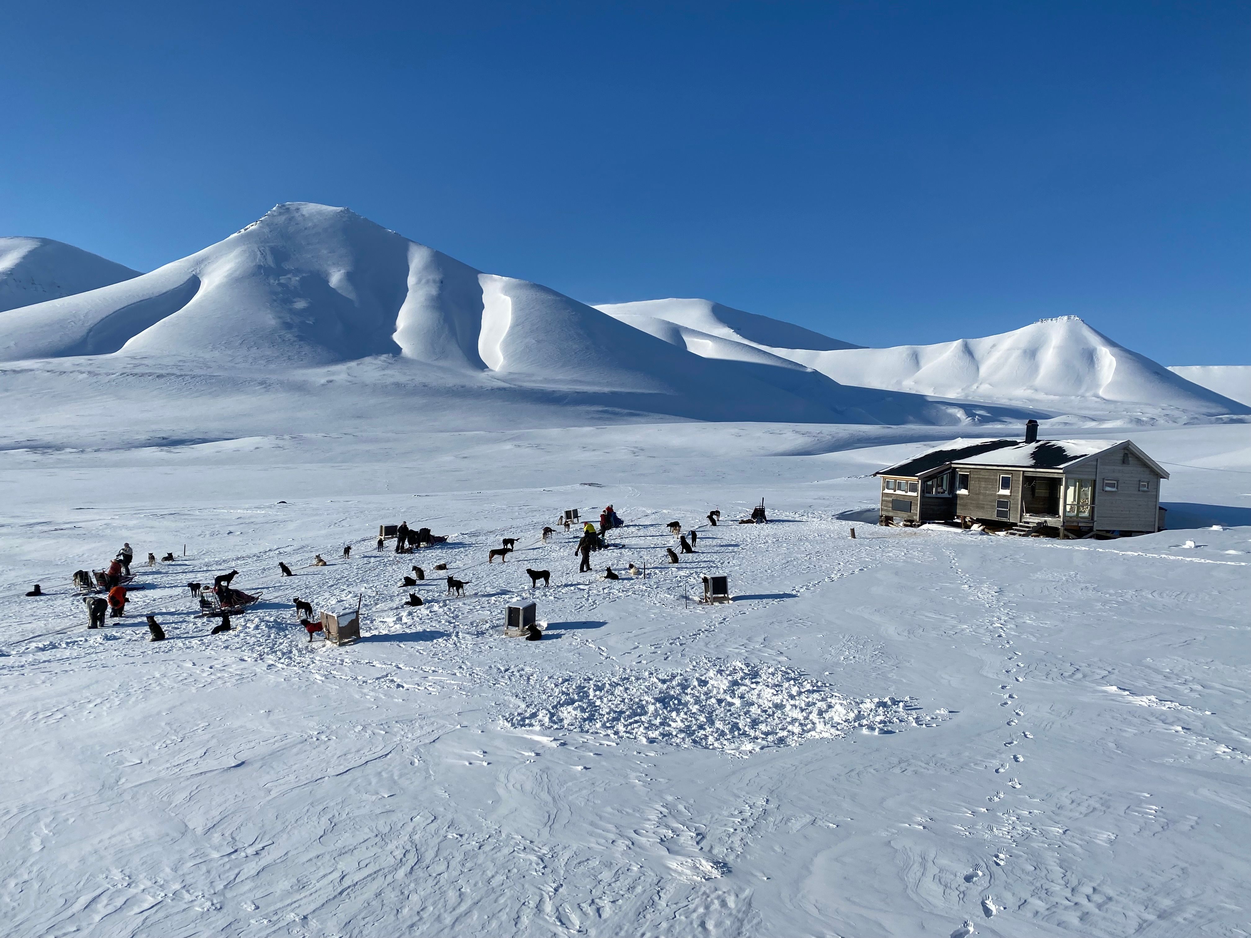 En hytte med hundesleder, sledehunder og hundehus i forgrunnen, omringet av et snødekt landskap med høye tilsnødde fjell og en blå himmel i bakgrunnen