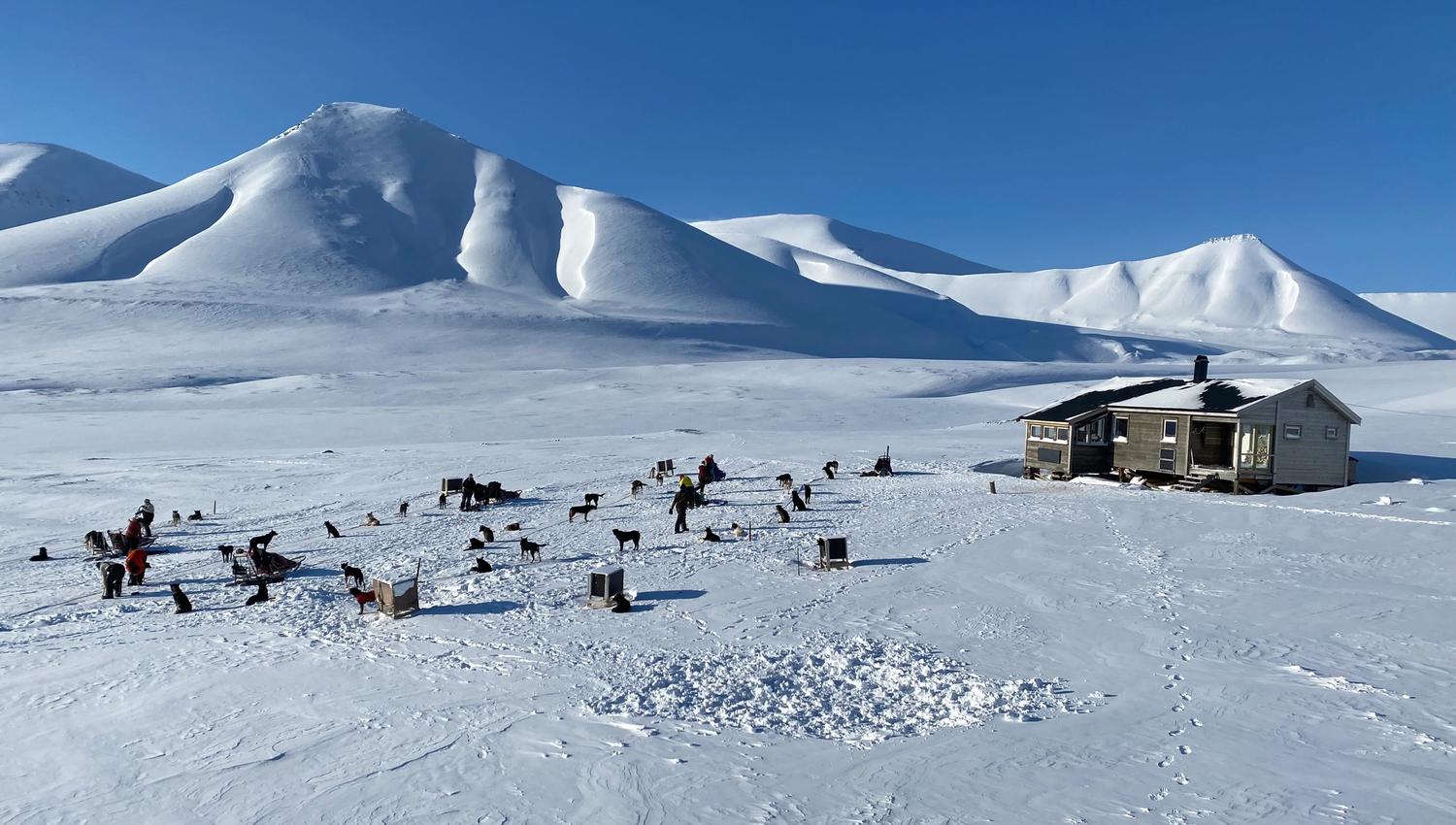 En hytte med hundesleder, sledehunder og hundehus i forgrunnen, omringet av et snødekt landskap med høye tilsnødde fjell og en blå himmel i bakgrunnen