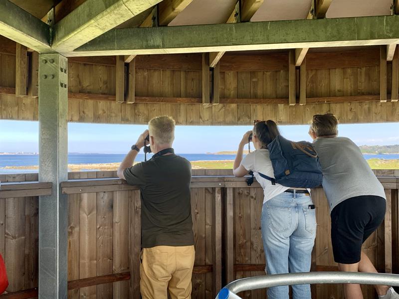 Bird watching tower at Herdla Museum