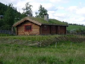 Selet sommar ute