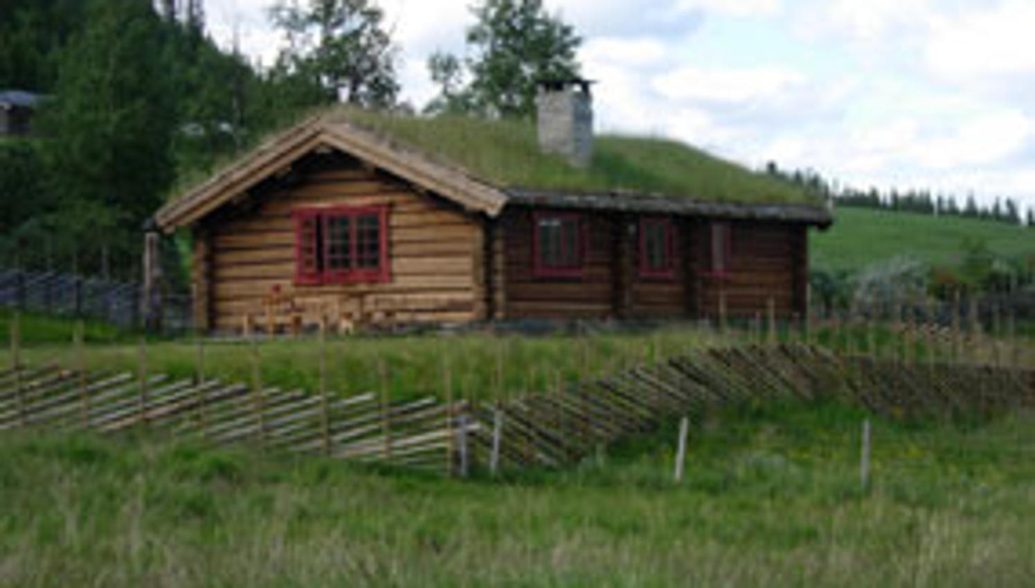 Selet sommar ute