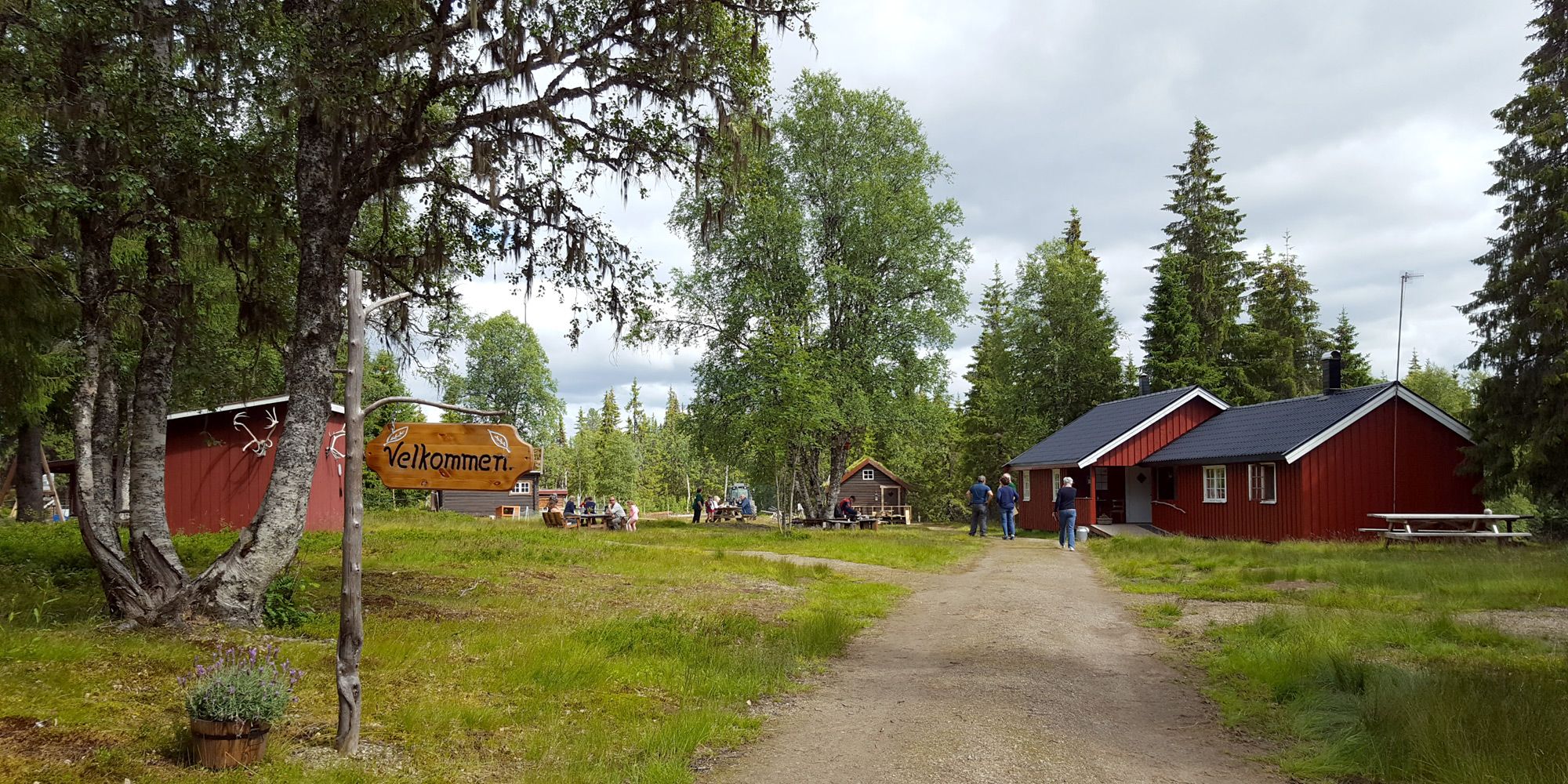 Welcome to Holsingseteren Summer Mountain Farm