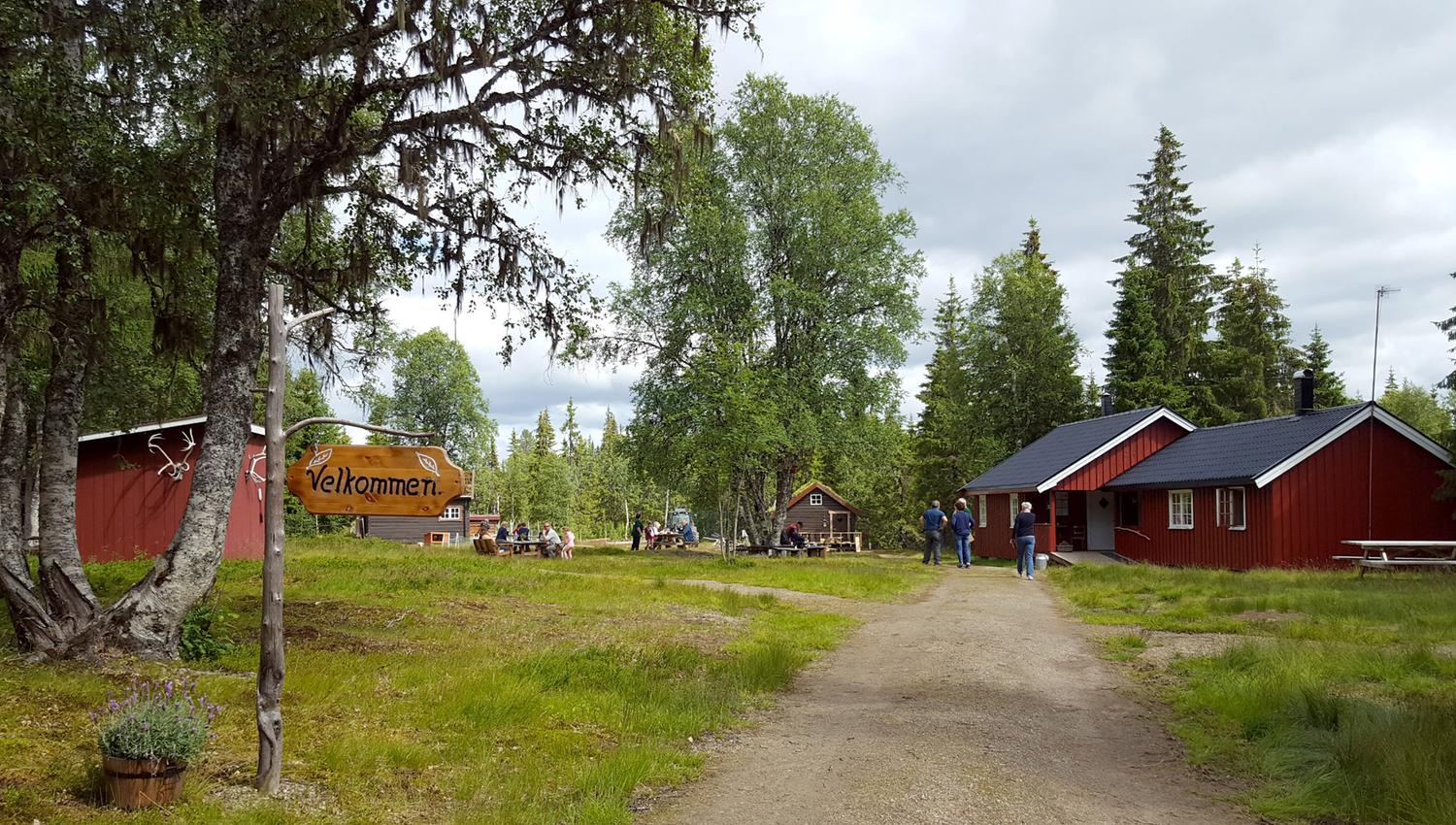 Welcome to Holsingseteren Summer Mountain Farm